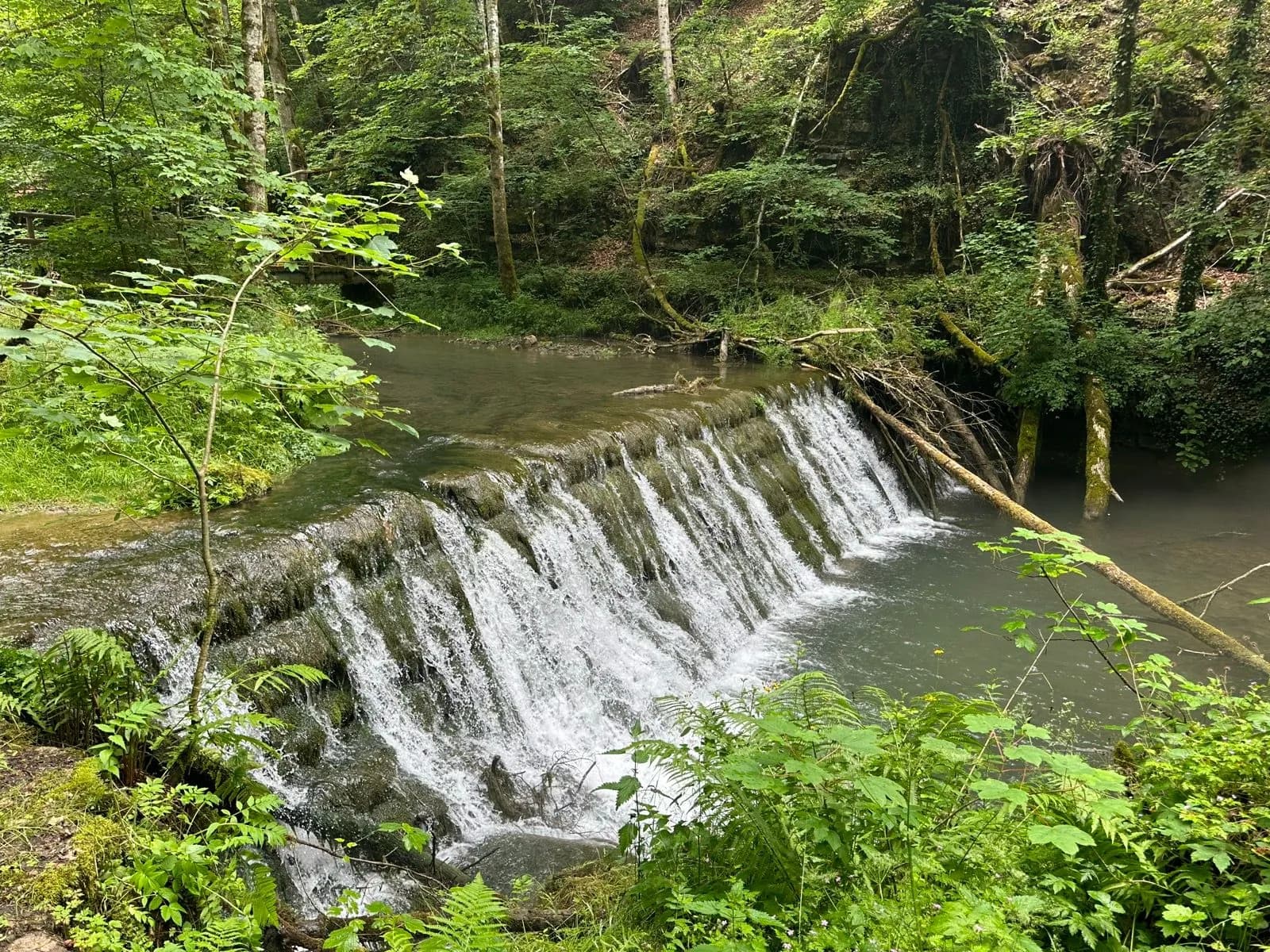 Waterfall from Blumberg to Loffingen cascading over mossy rocks in a lush green forest.