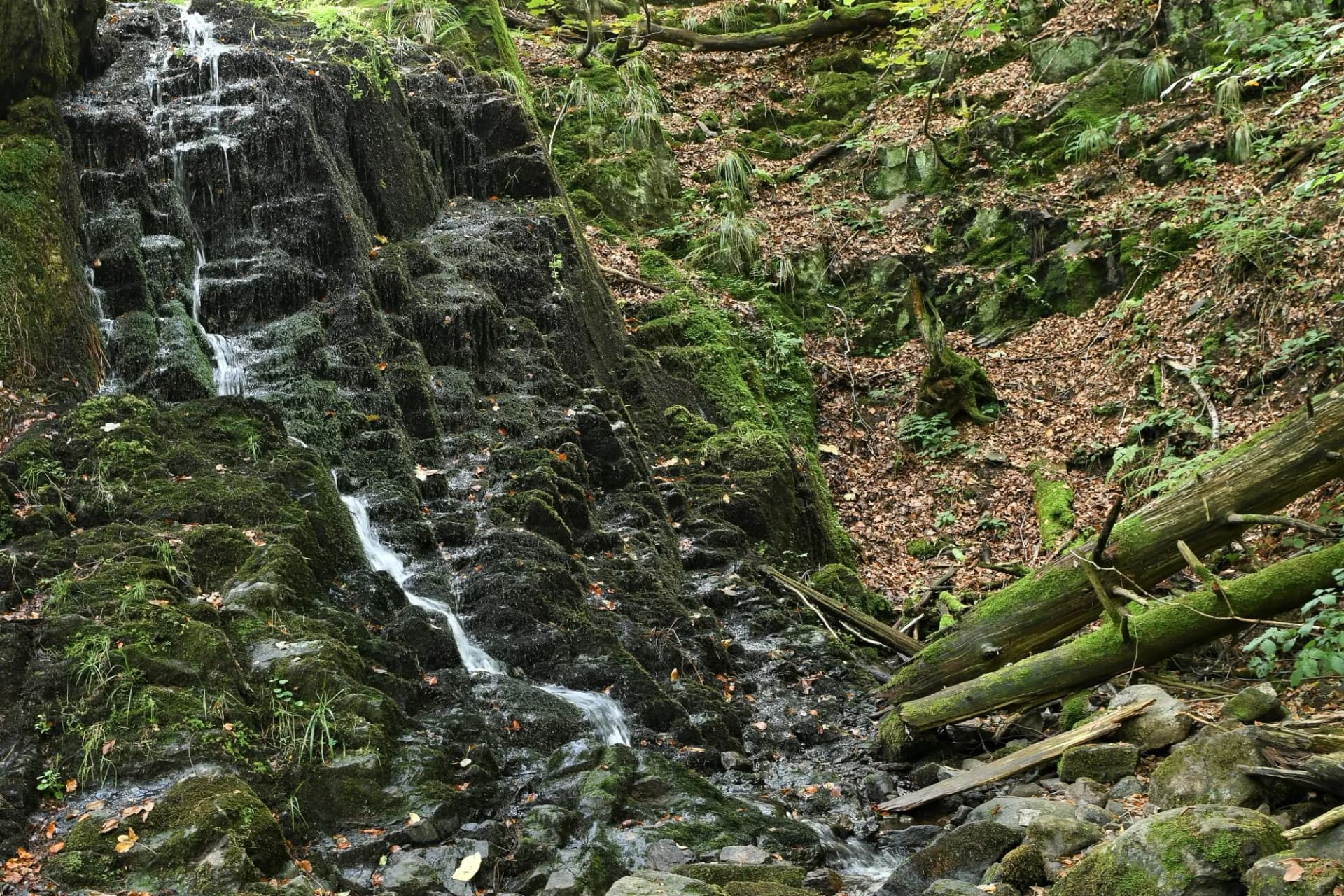Schöne Bachlandschaft - Der Spitterfall bei Tambach Dietharz in Thüringen