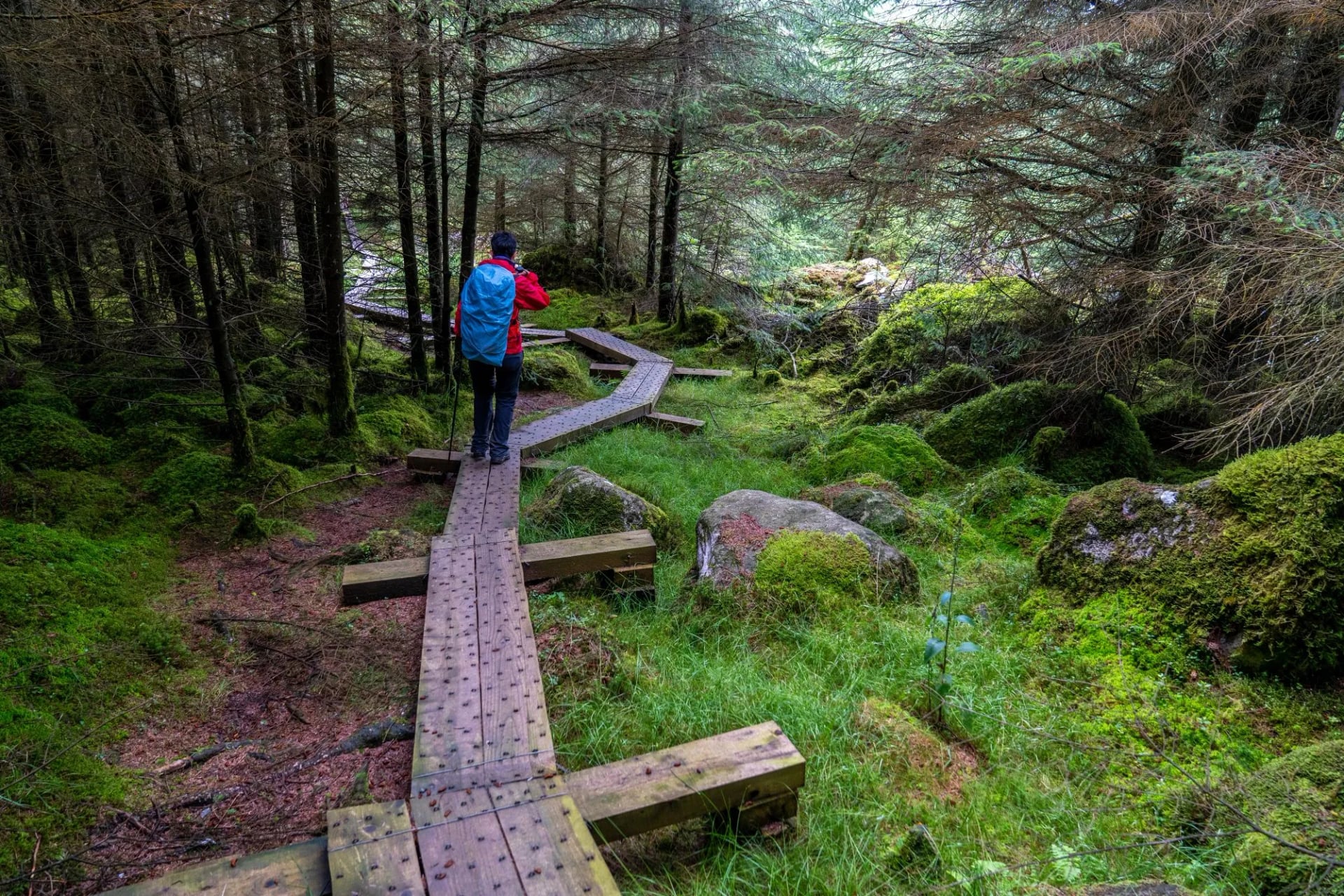 Een wandelaar op een houten loopplanksectie van de Wicklow Way