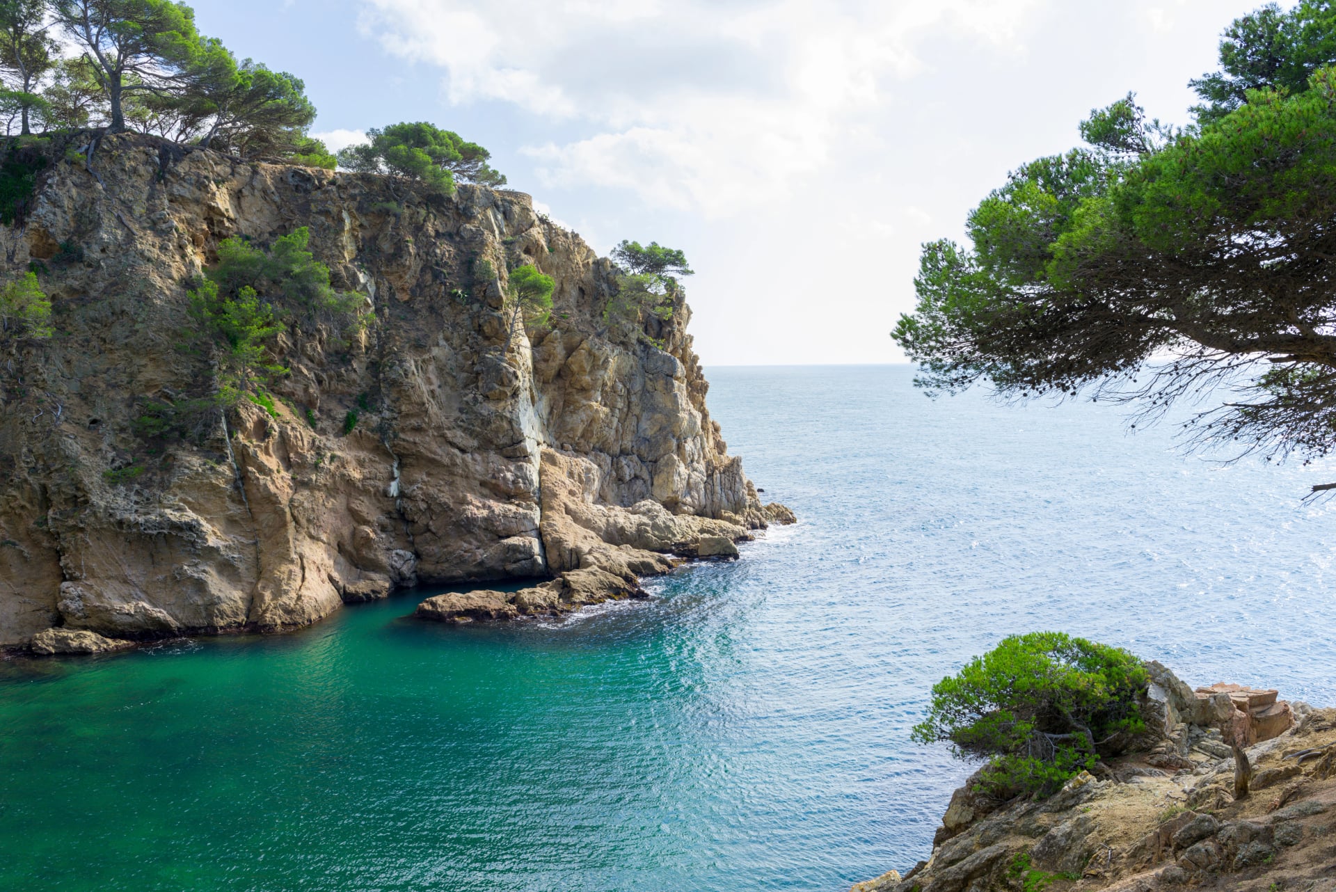 Turquoise cove enclosed by cliffs and pines on the Costa Brava