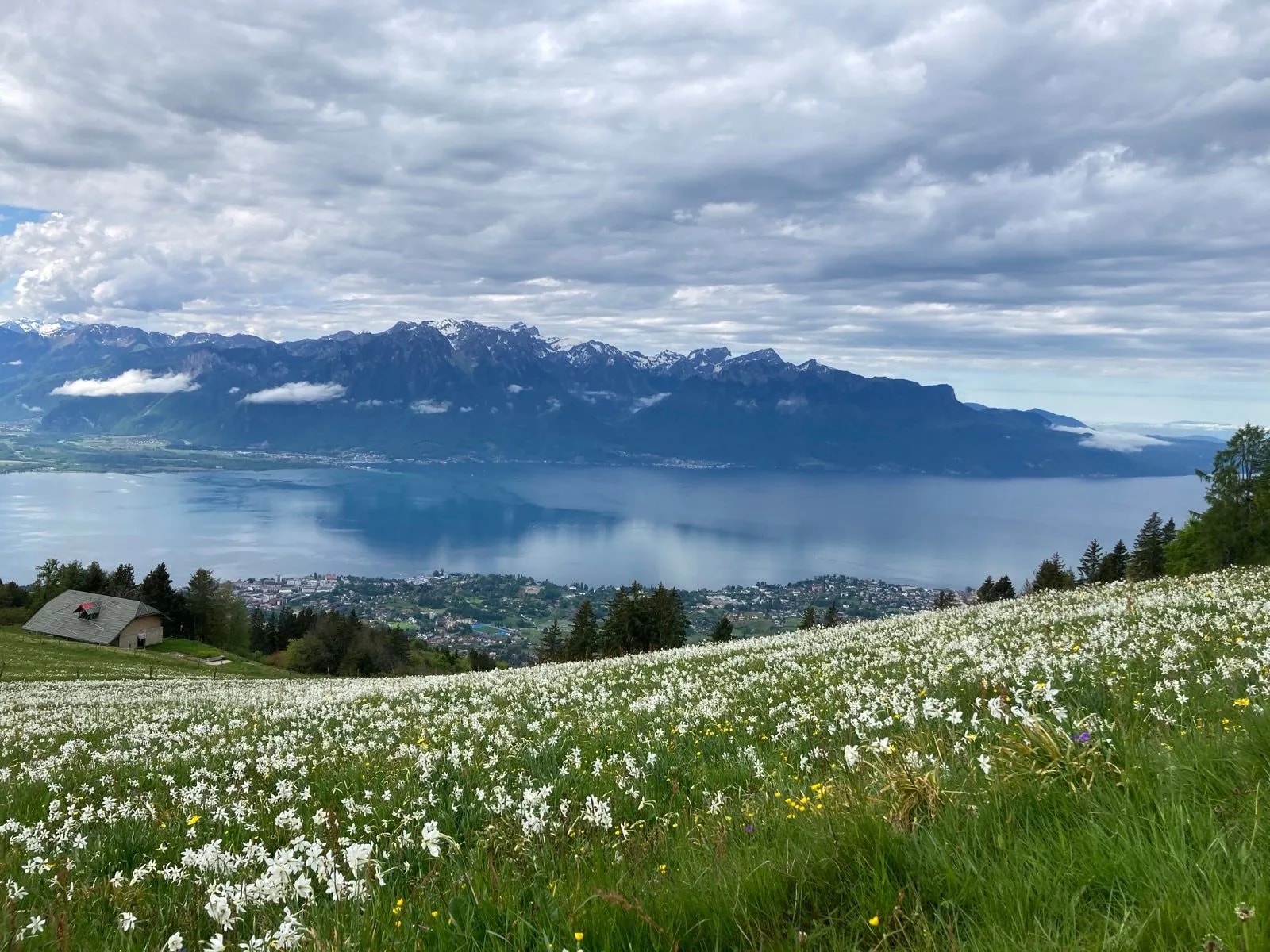 Les Pléiades hike