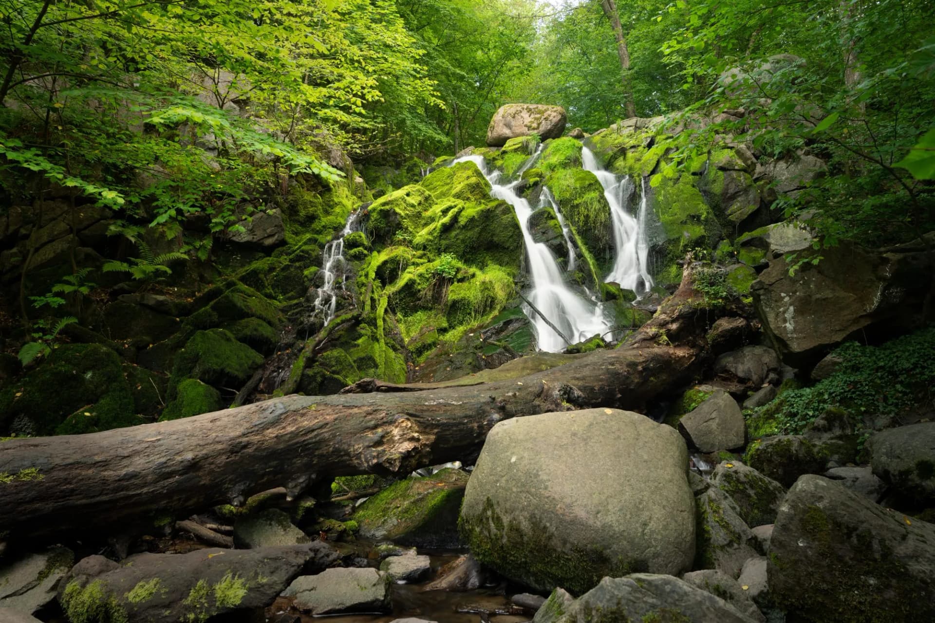 Waterfall cascading over moss-covered rocks in a dense green forest with a fallen log.