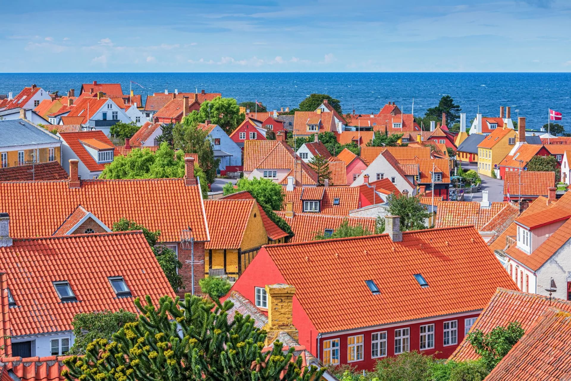 Coastal town with dense orange tiled roofs, green trees, and the blue sea under a clear sky, Gudhjem.