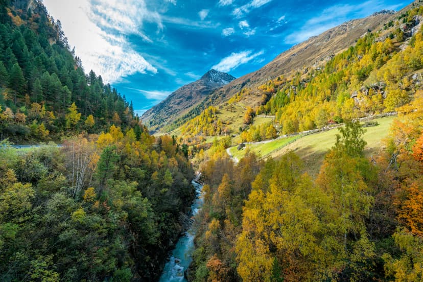 View to the Wildspitze mountain at the Venter Ache valley near Winterstall with beautiful coloured trees on a bright autumn day in Austria
