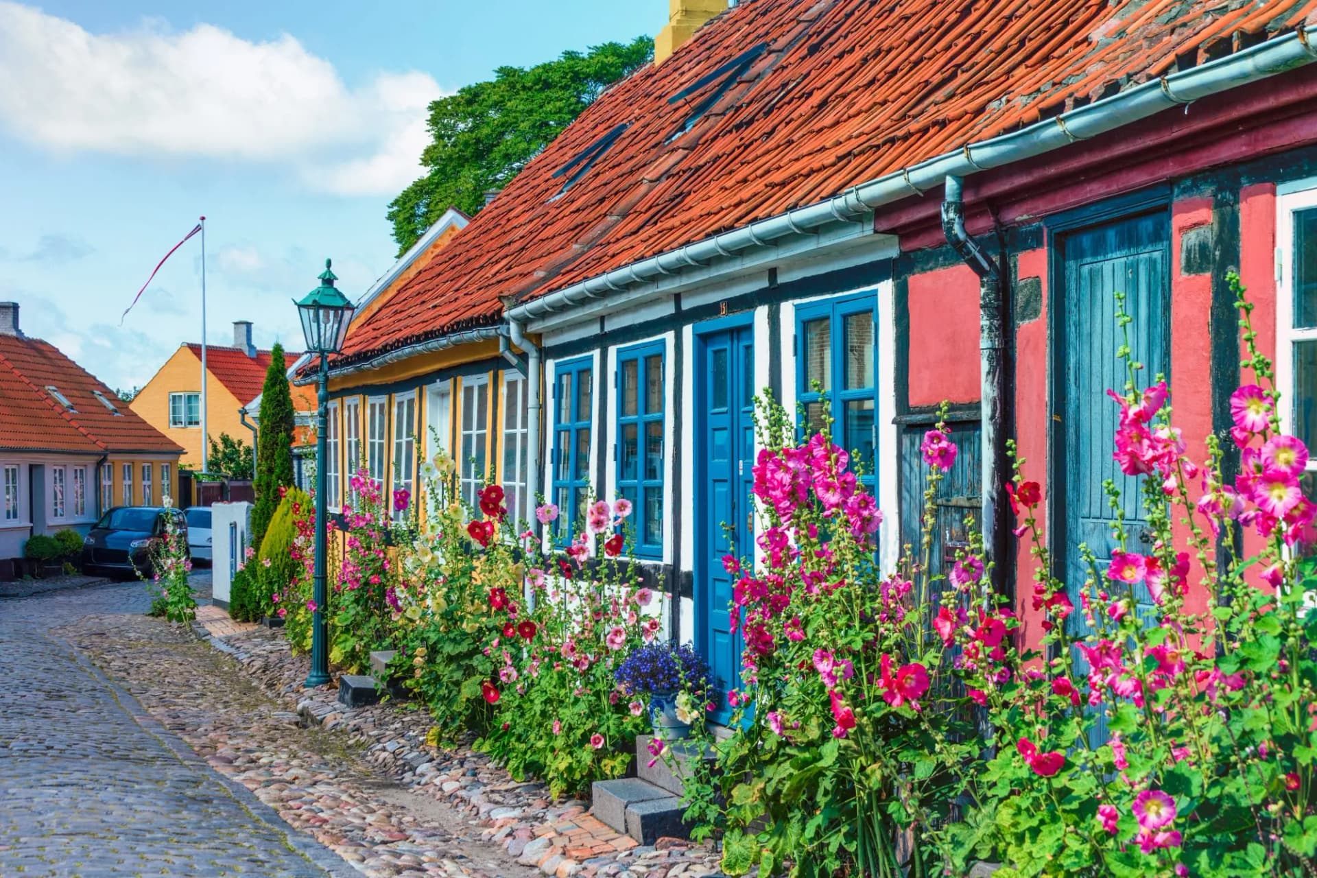 Colorful historic houses with red tile roofs and bright hollyhocks lining a cobblestone street.