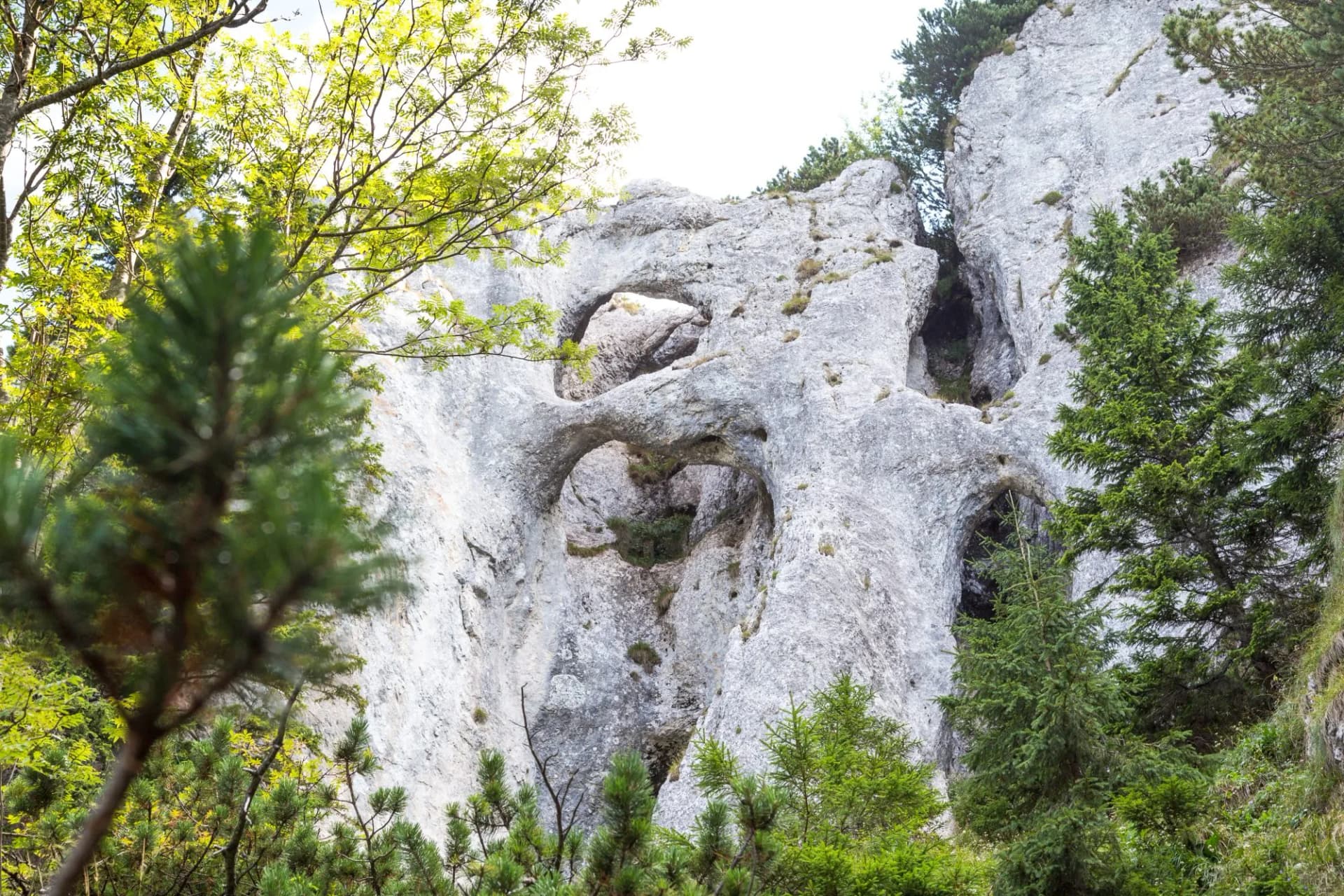 Bizarre rock forms, called La Zaplaz, in The Carpathian Mountains, Piatra Craiului National Park, Romania, Europe.