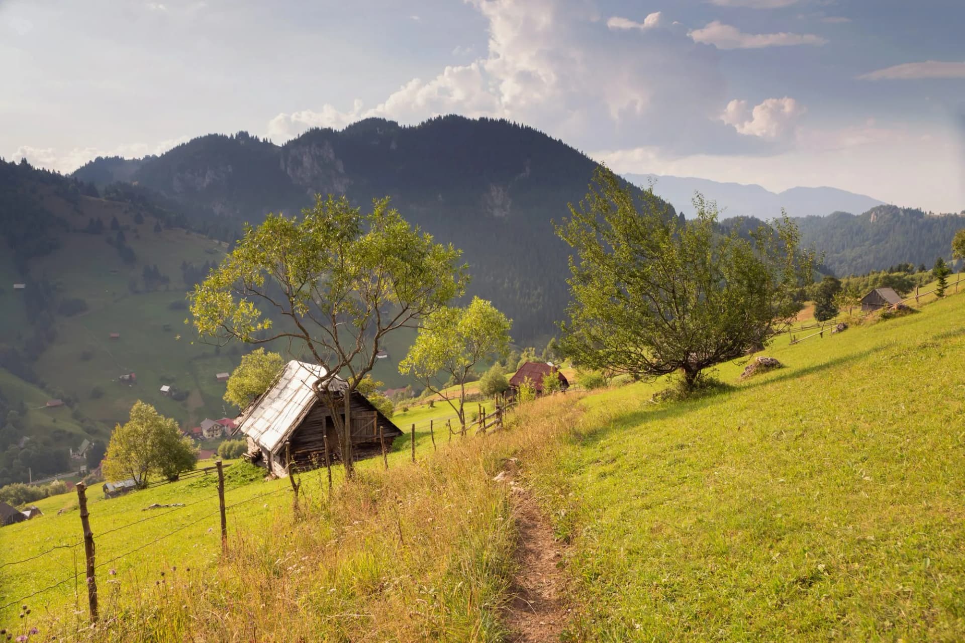 Hiking path on sunny green hillside above Moeciu de Sus with wooden hut and mountains.