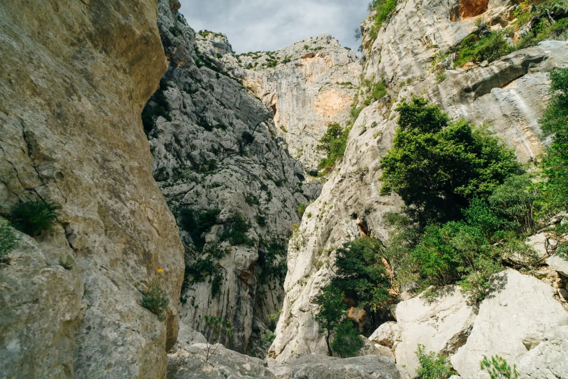 Gola di Gorropu gorge in Sardinia - The Gennargentu National Park, Province of Nuoro
