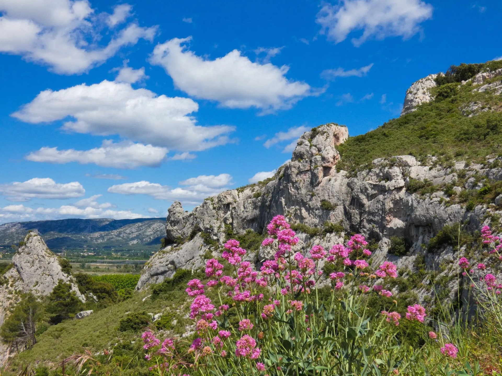 Hiking in Alpilles, France