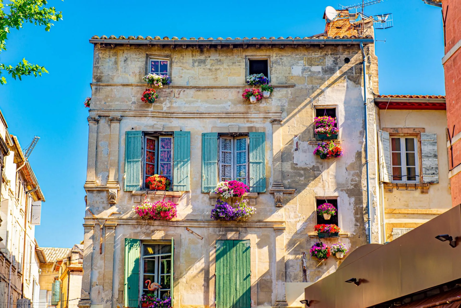 Arles person