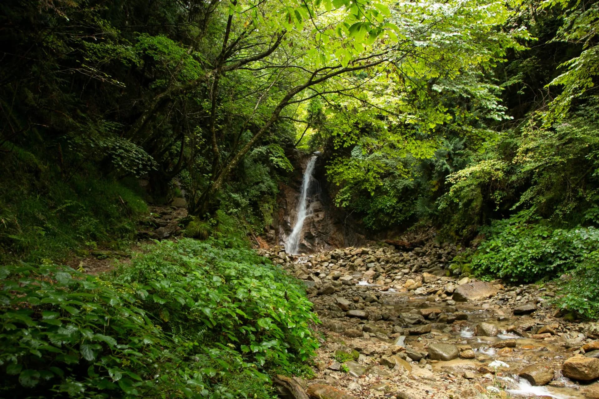 Waterfall cascading down rocks in a lush green forest ravine with a rocky stream bed.