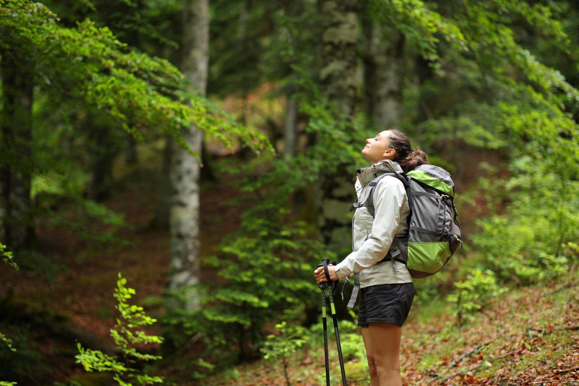 Hiker in a forest breathing fresh air