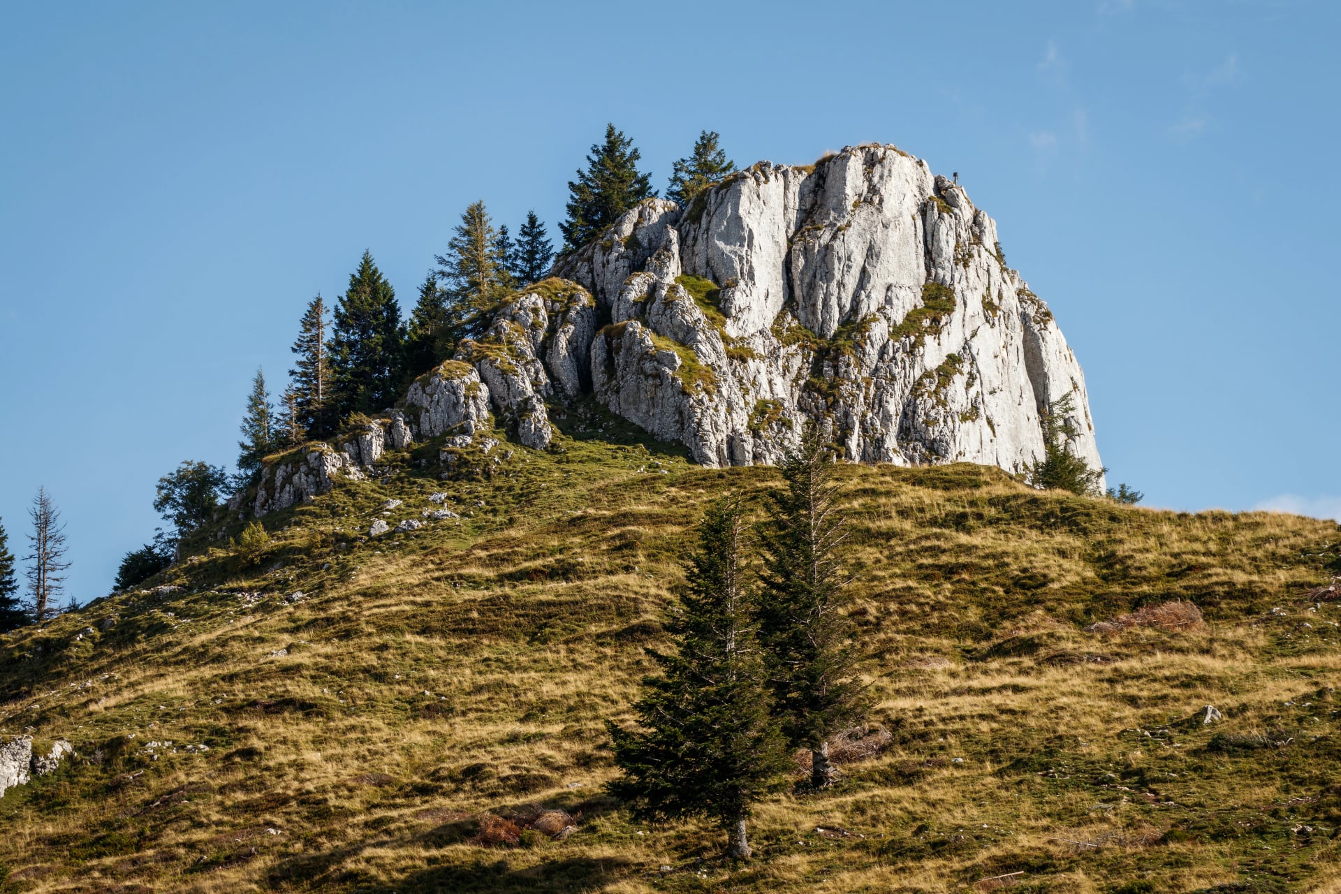 The rocky summit block of the Vormauerstein above pasture and pines