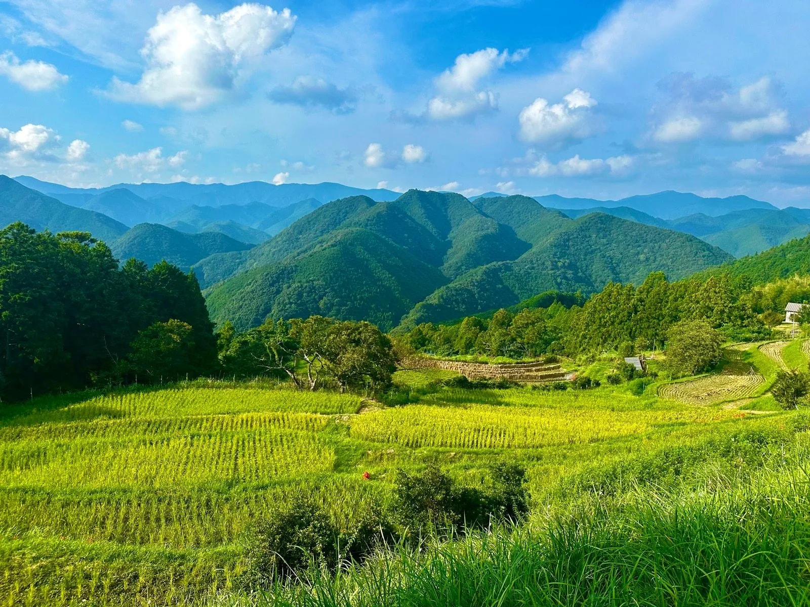 Kumano Kodo Imperial Route
