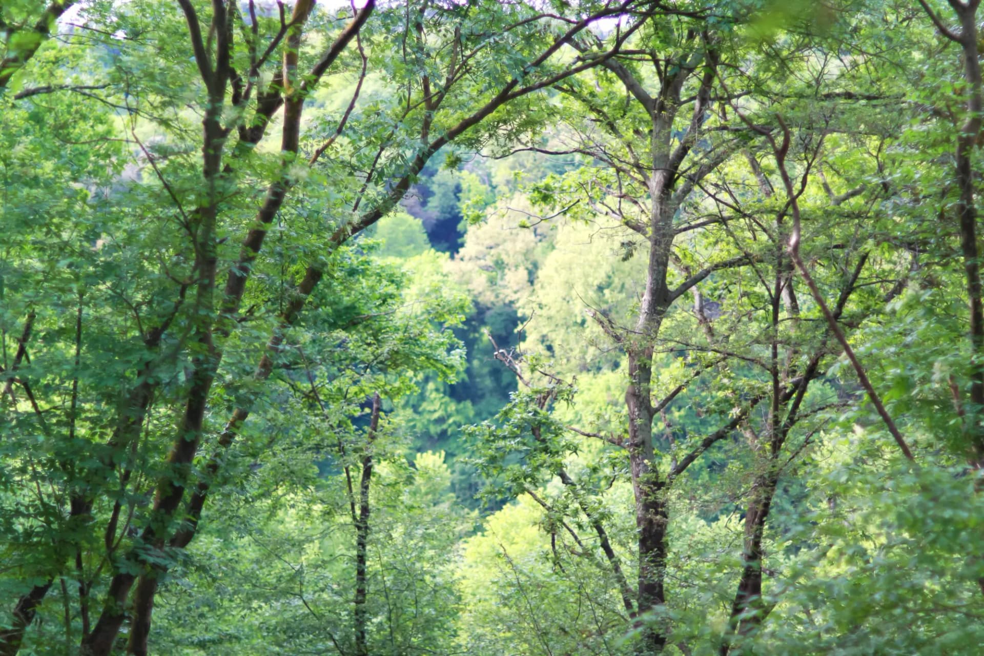 Parco Insugherata (Rome, Italy)