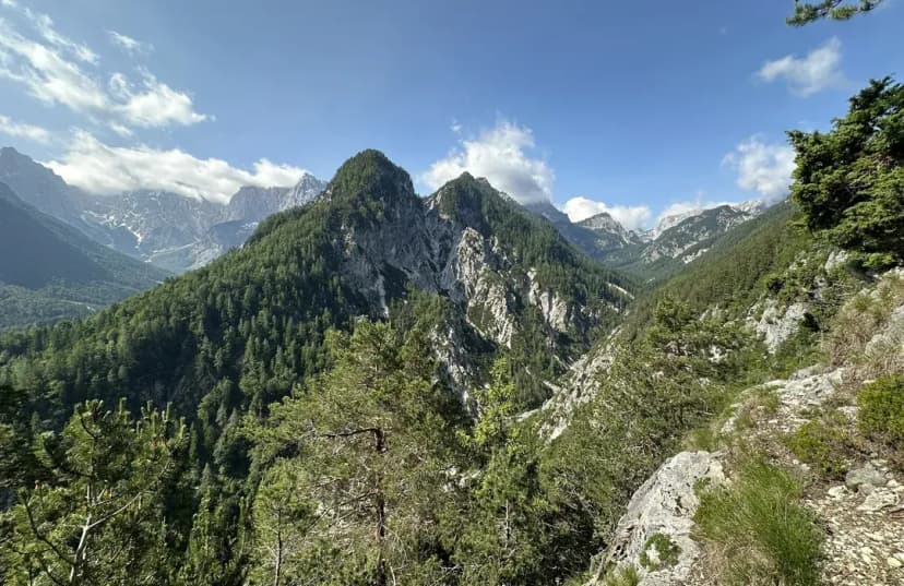 Alpine mountain peaks covered in pine forests under a blue sky with clouds.