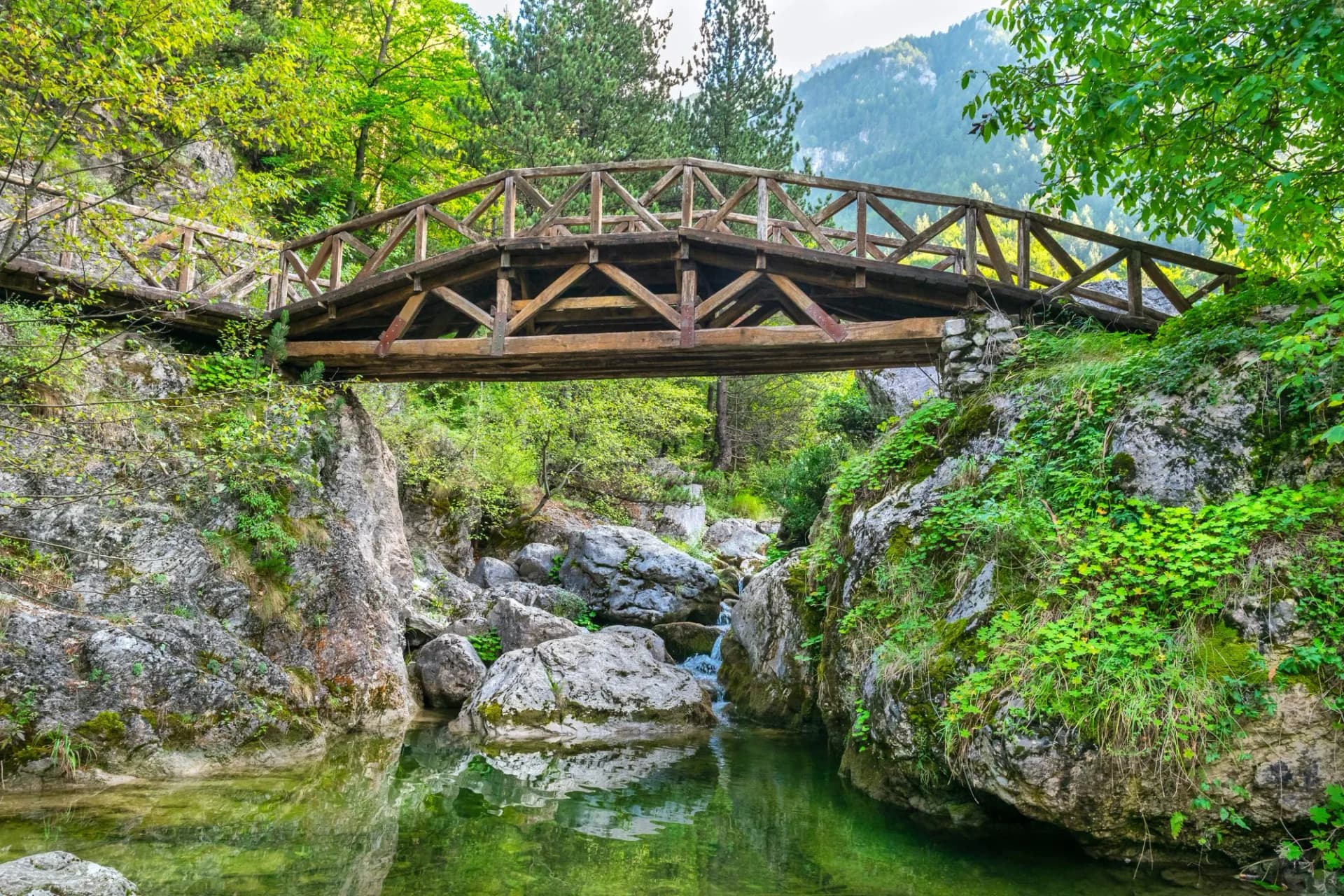 Mount Olympus natural park. Greece