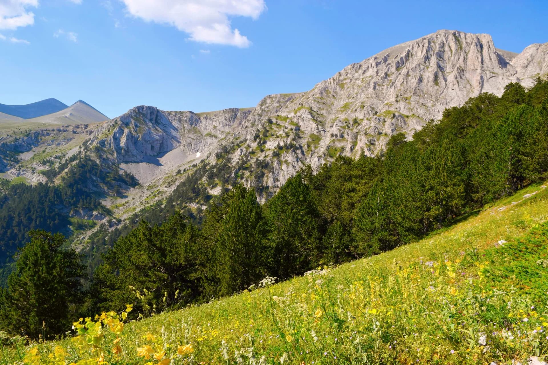 Mount Olympus natural park. Greece scenery