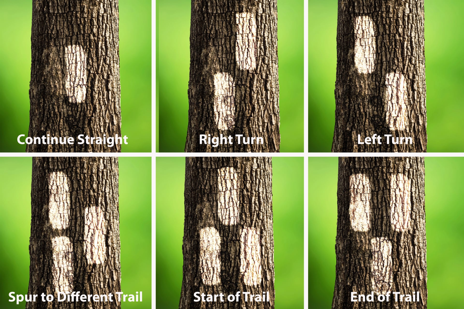 Trail blaze tail marker chart