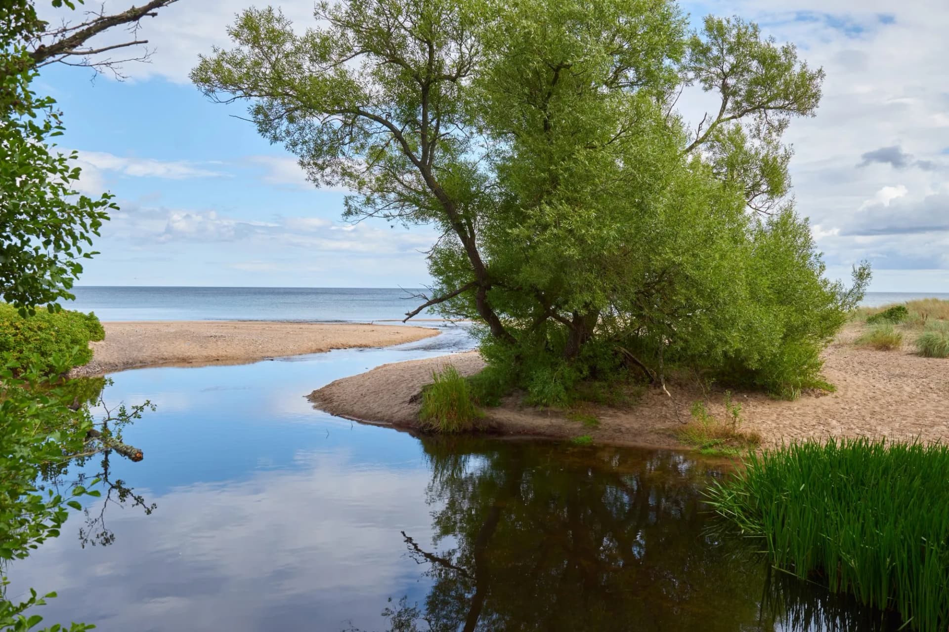 A creek mouth where a creek "Verkaån" is entering the sea with green trees by the sides.