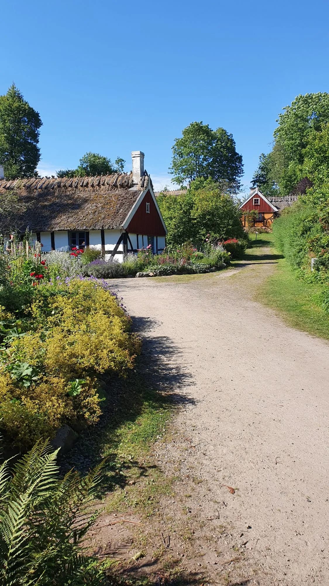 Rural village embedded in lush green foliage in southern Sweden