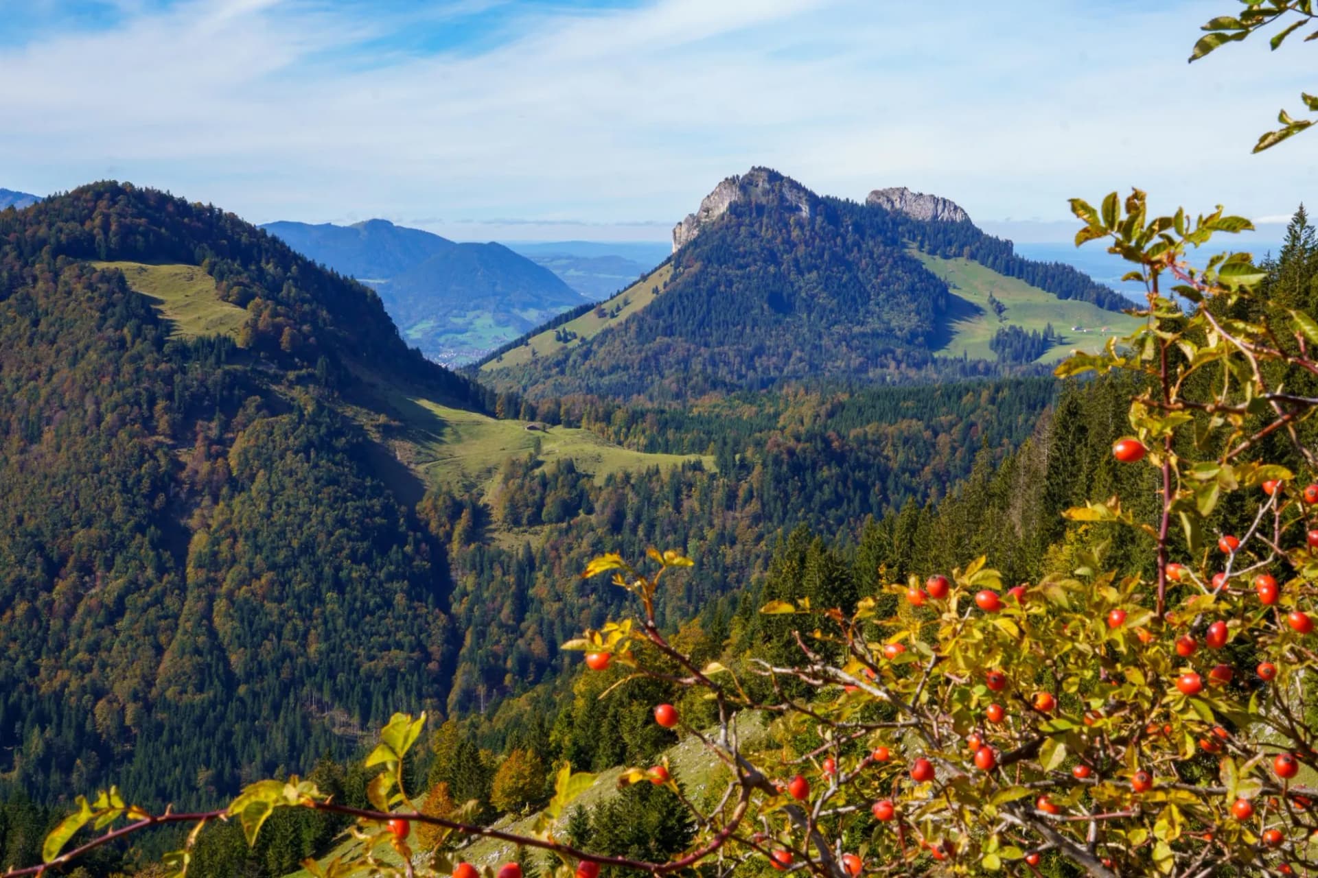 View of Kitzstein mountain peaks from distance with autumn foliage and rose hips in foreground