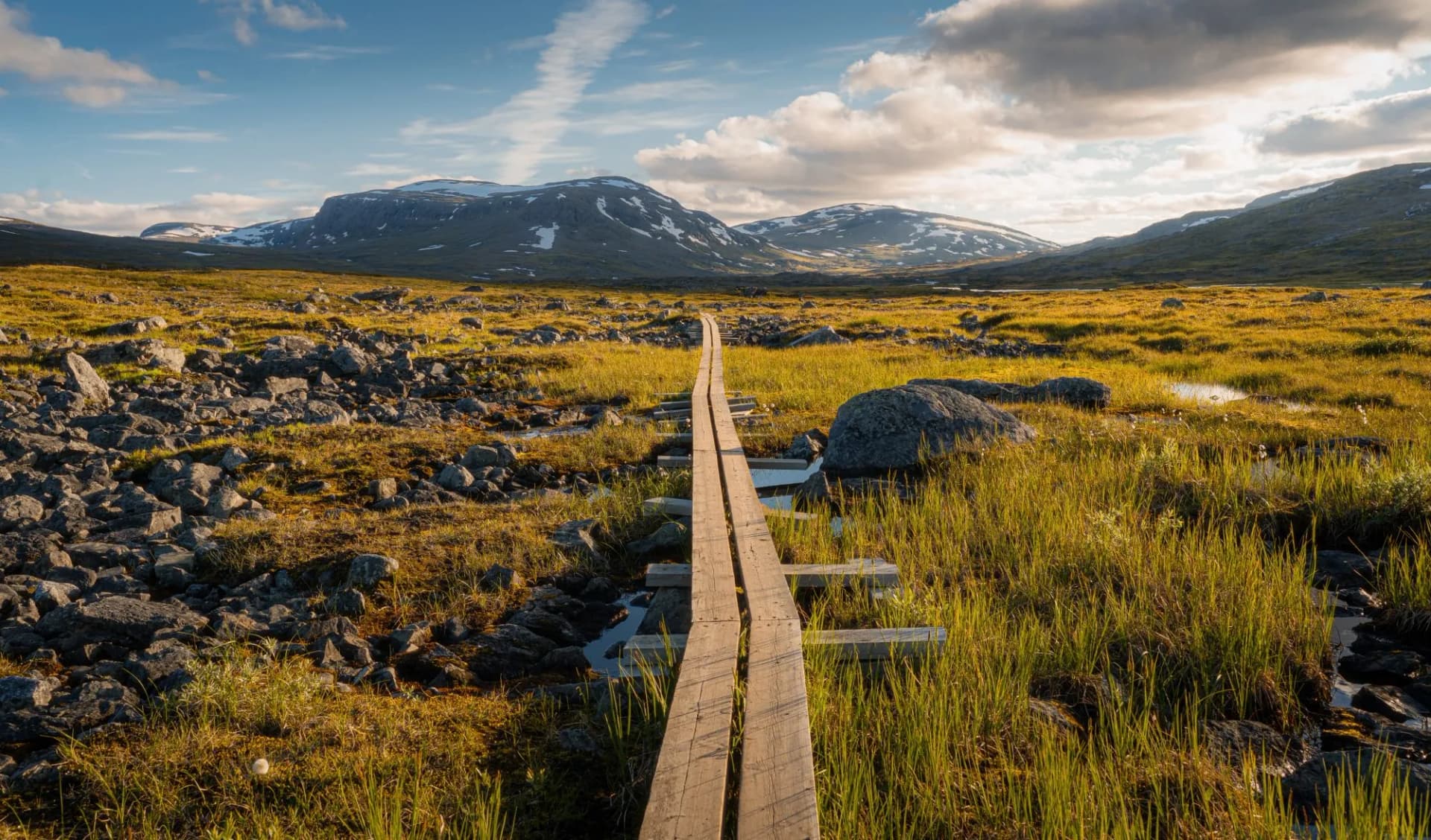 Hiking Trail Wooden Path Kungsleden Sweden Lapland