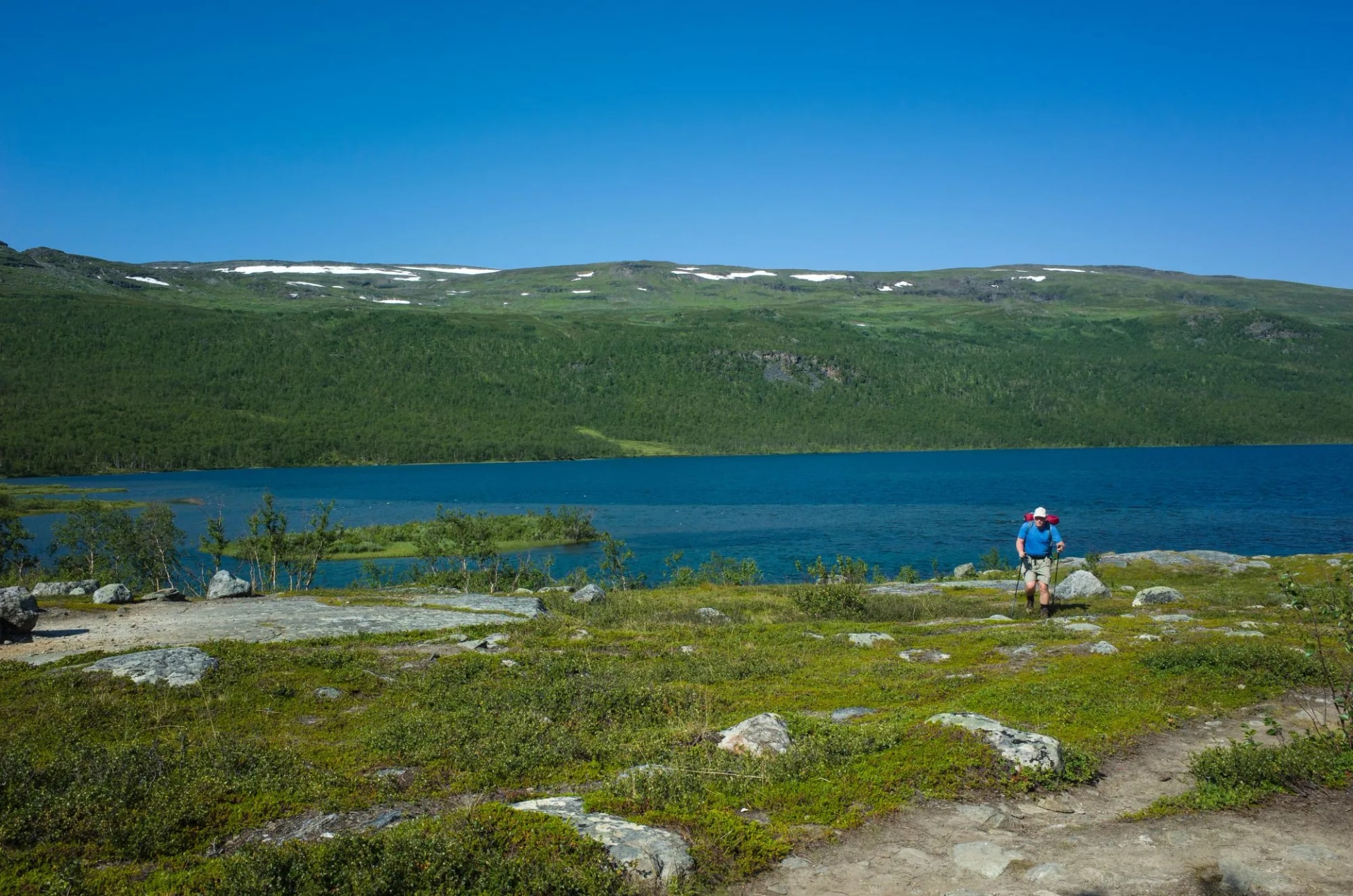 Hiking in Sweden in summer. Man tourist trekking in Abisko National Park near mountain lake Abiskojaure in northern Sweden. Nature of Scandinavia in sunny day blue sky