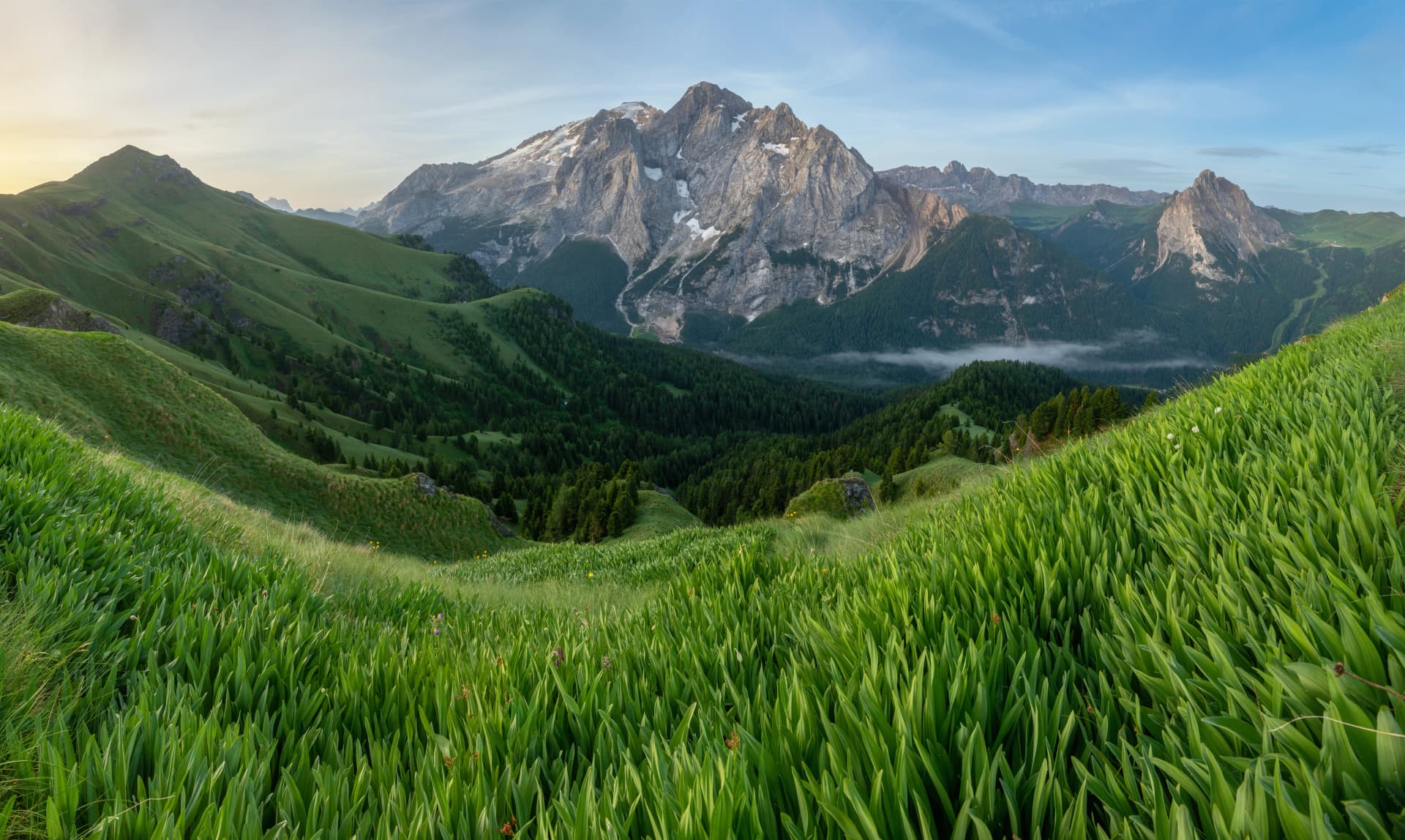 Summer view of Marmolada (Punta Penia), the highest peak in Dolomites, Italy. Alpine landscape of Dolomiti with a view of a glacier on Marmolada and beautiful green meadow with yellow flowers.