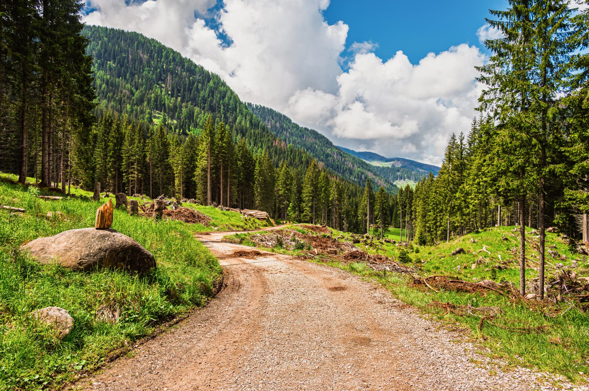 nature sceneries inside the Paneveggio natural park, Predazzo, Dolomites, Italy