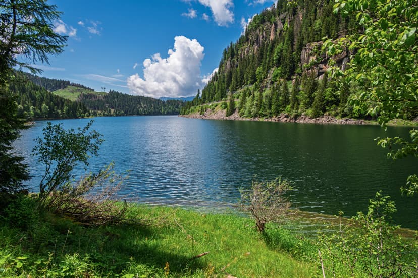 lake paneveggio inside the Natural Park, Predazzo, Trento, Dolomites, Italy