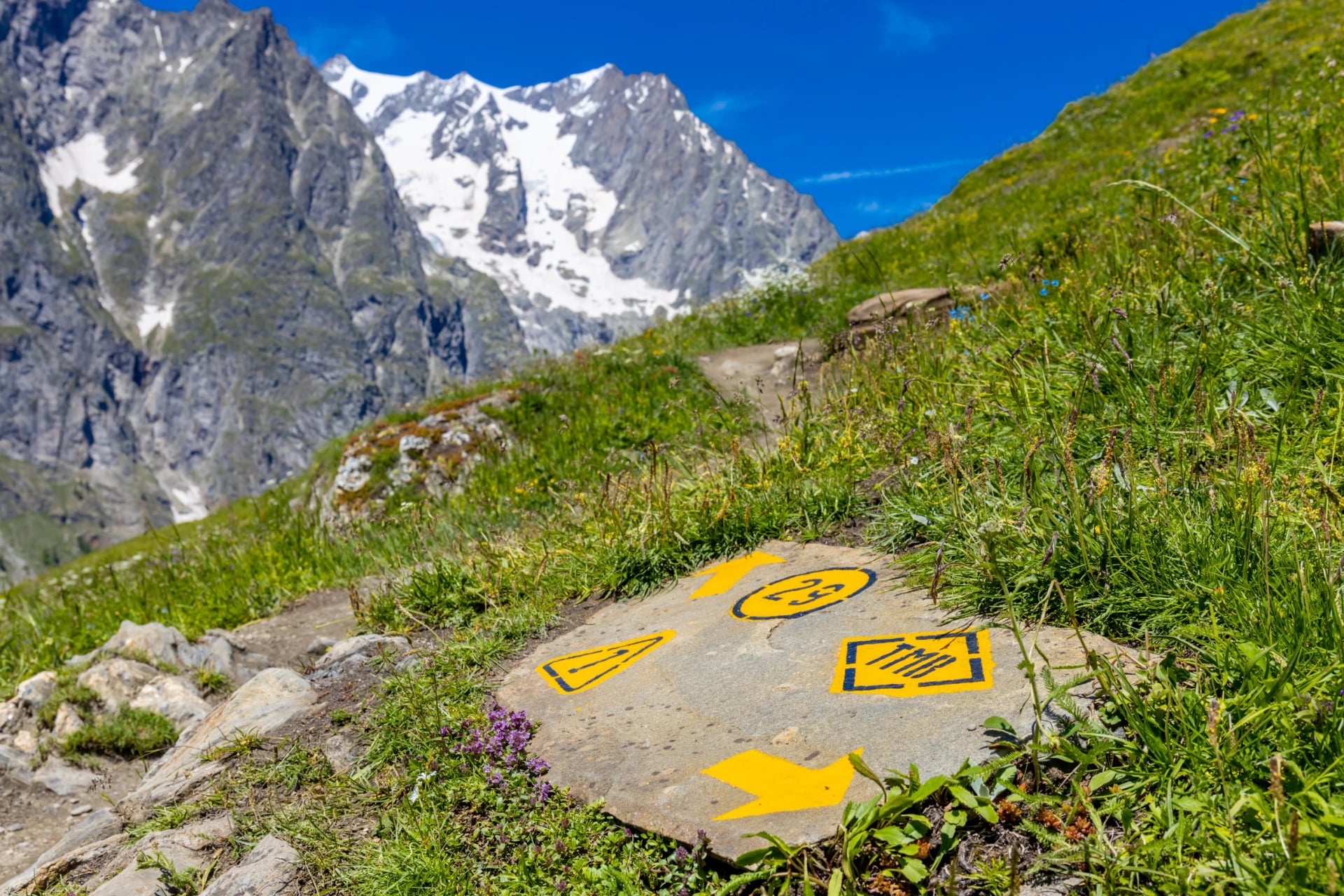 TMB Tour du Mont Blanc šipka a ukazatel na turistické stezce v Alpách. Trekking kolem Montblanc v létě, krásná krajina alpských zelených luk a vysokých hor pokrytých sněhem.