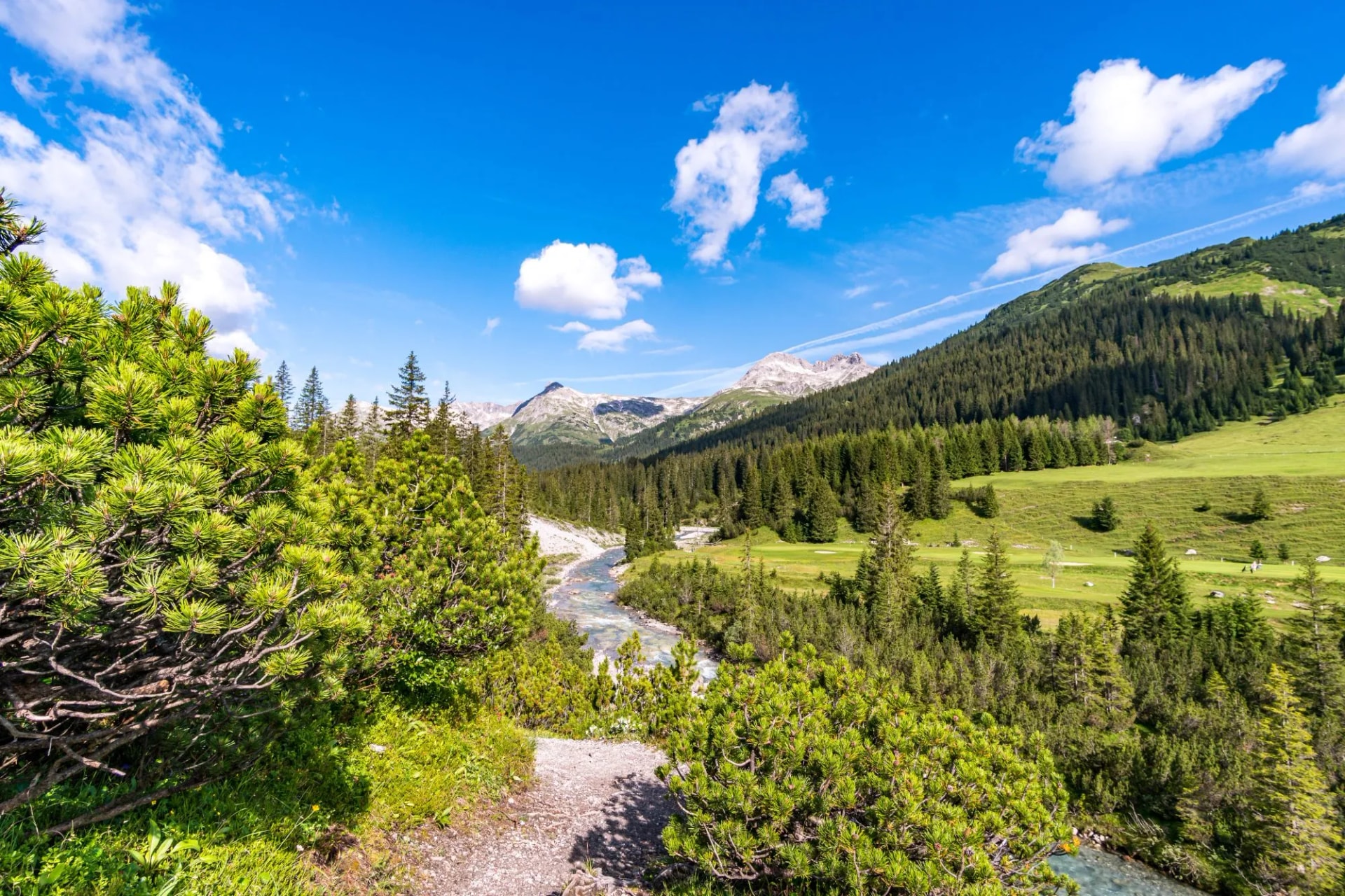 Hiking path overlooking Lechquellen Mountains, clear river, and pine forests in Vorarlberg, Austria.