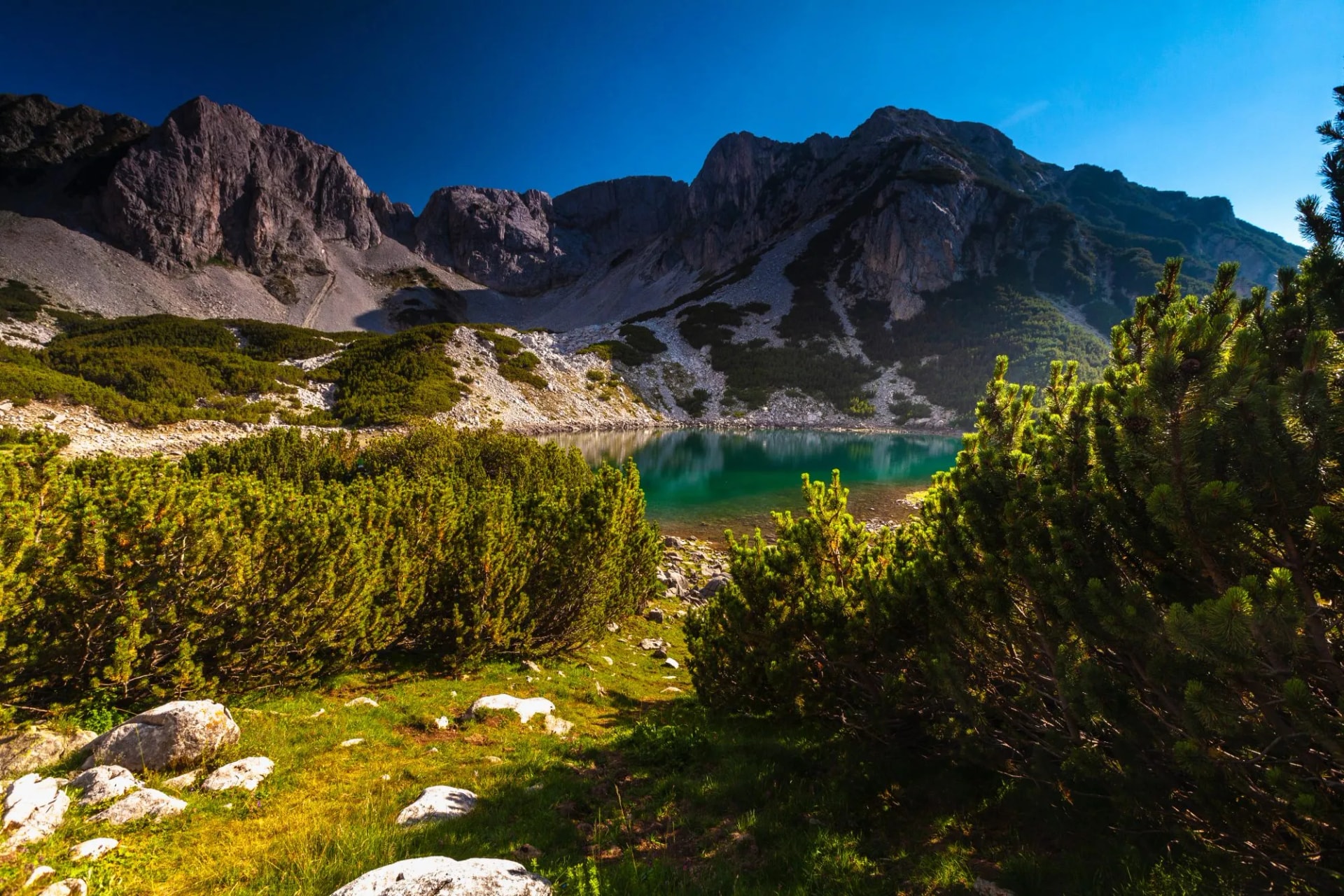 Pirin Mountains