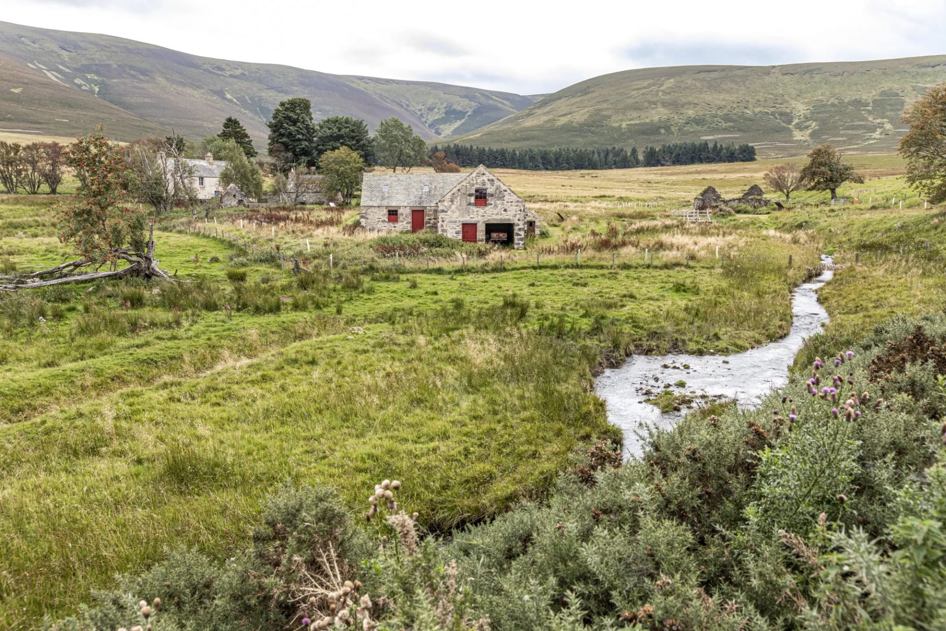 An old stone farmhouse beside a burn in rough grazing under rolling hills
