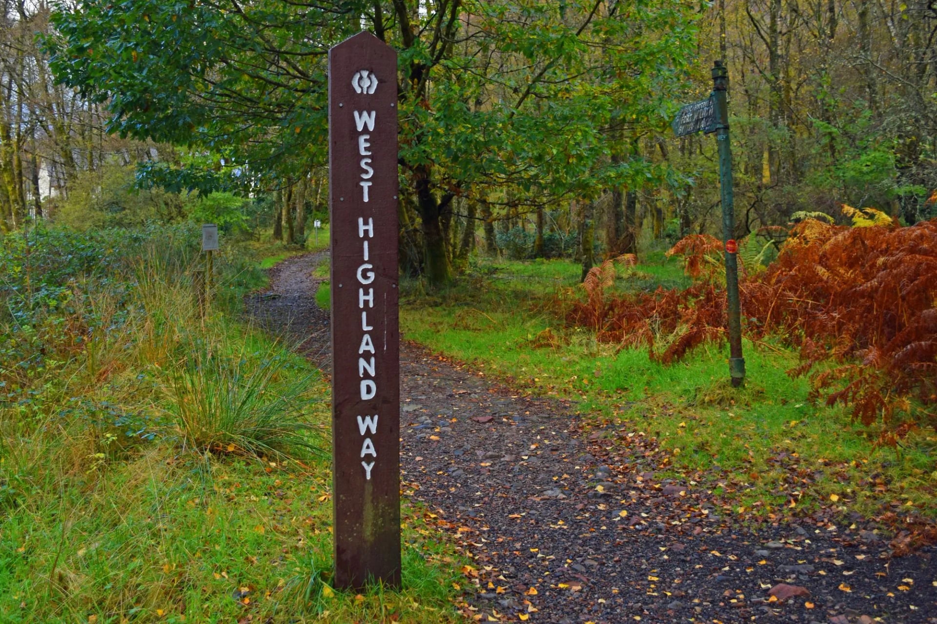 A carved West Highland Way signpost beside a woodland path in autumn