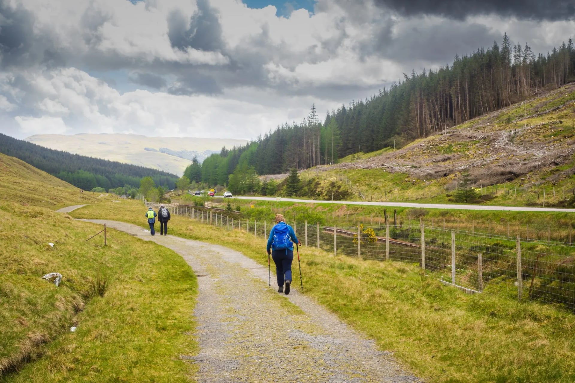 Walkers on a gravel track between forestry and open hillside