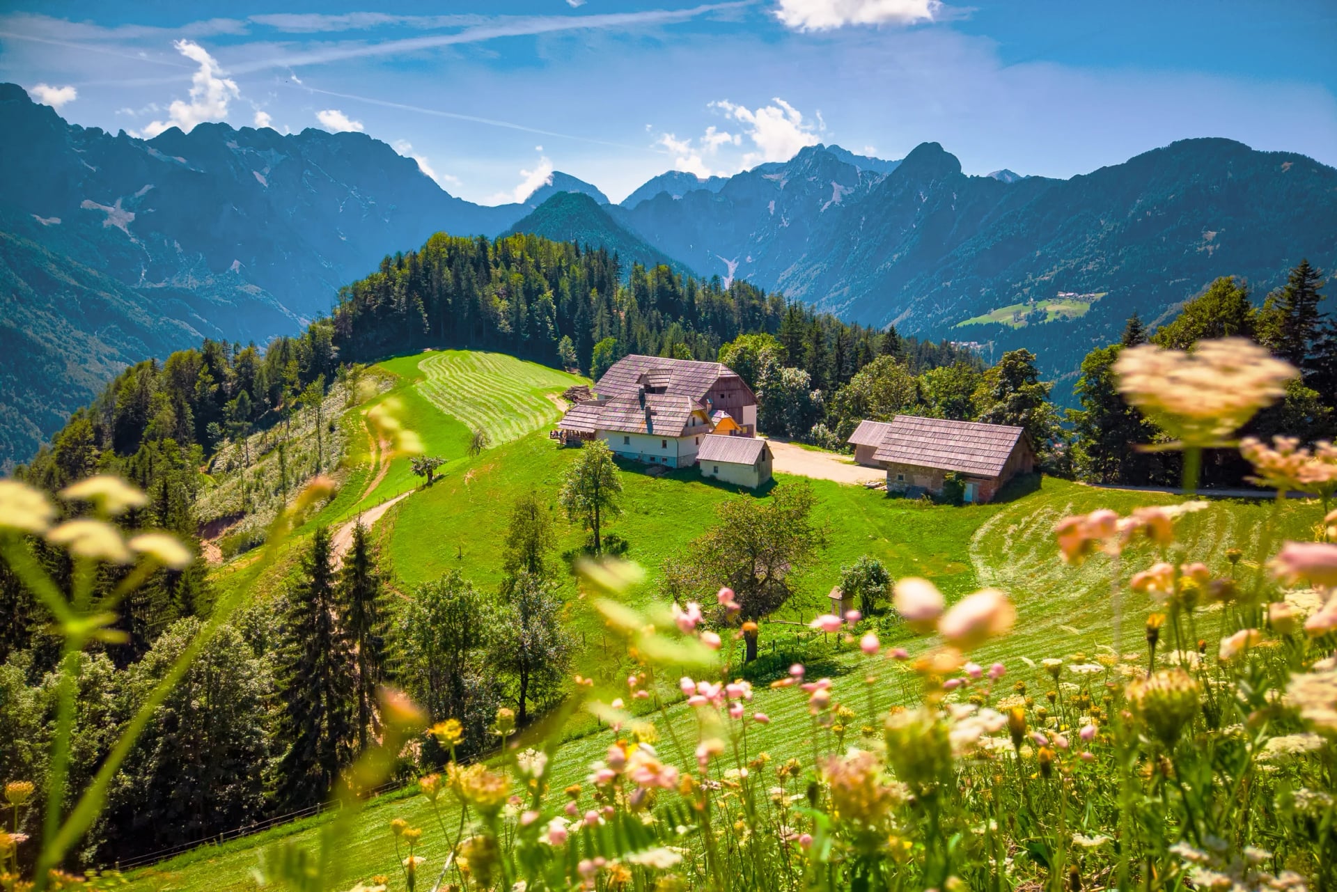 Paysage montagneux, Alpes en Slovénie avec ferme et prairies en fleurs