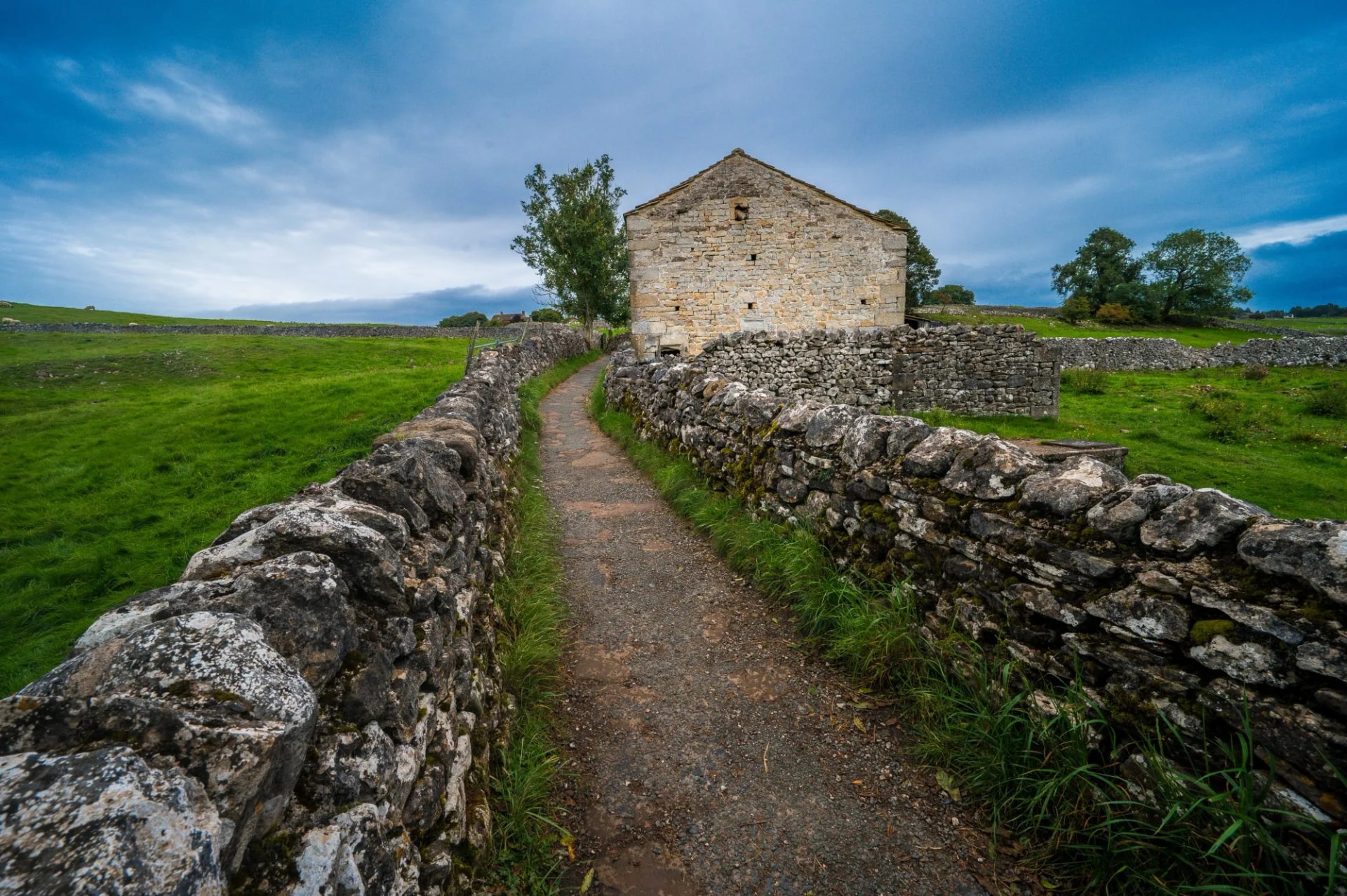 Sheep, green hills, and stone walls in the Yorkshire Dales