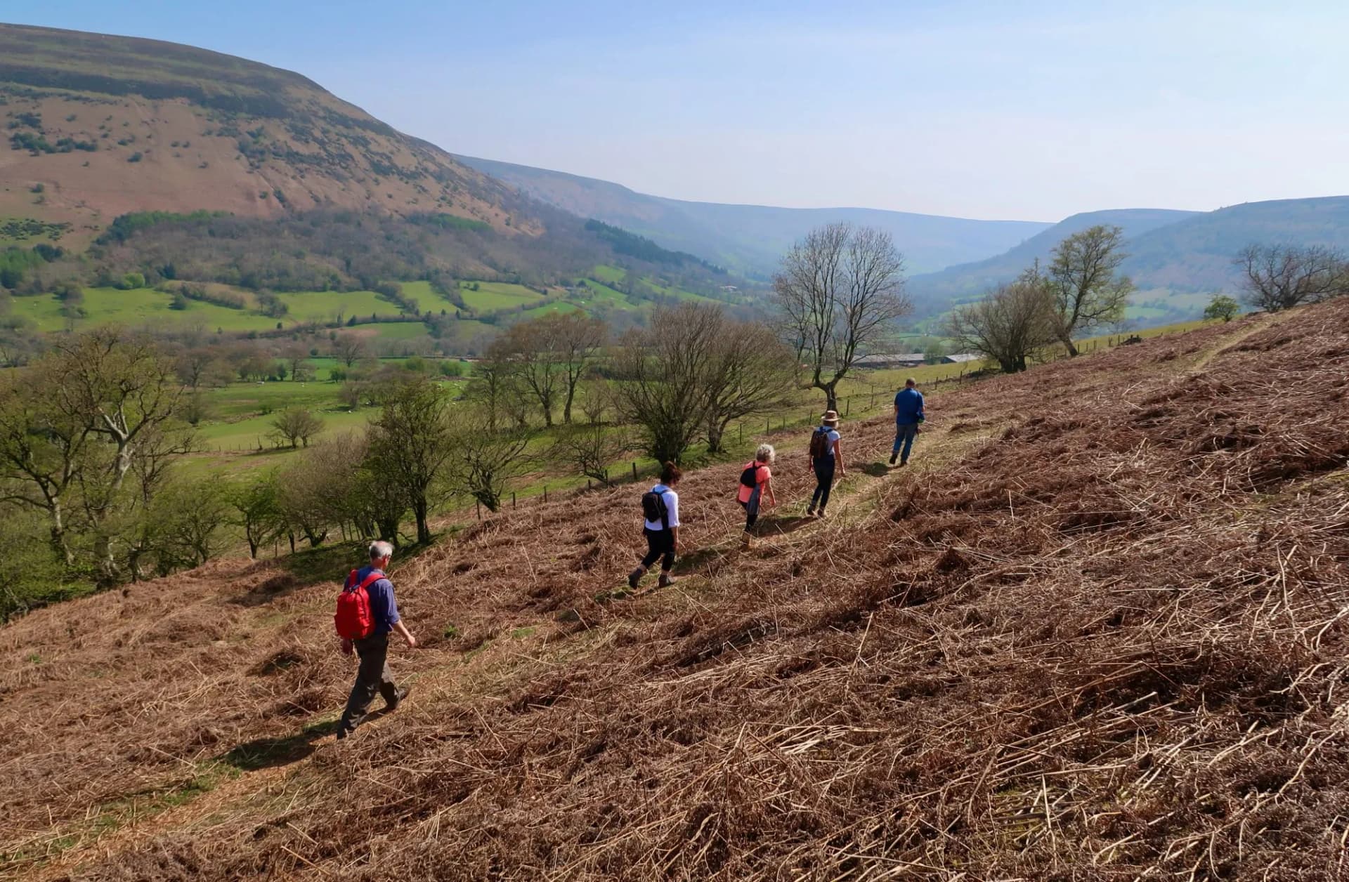 Walkers in the Black Mountains, Wales