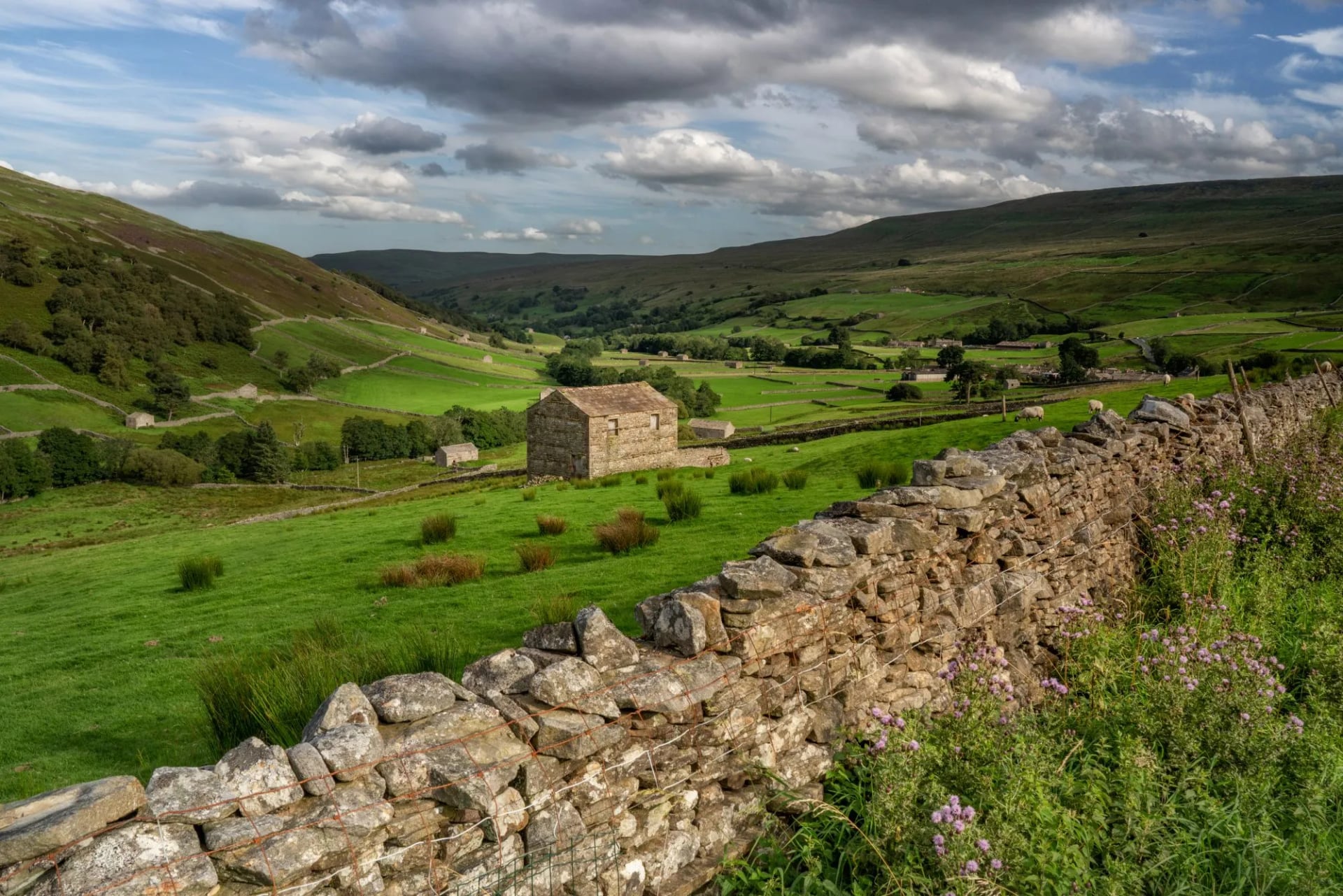 Stone field barns and drystone walls near Keld in Swaledale, Yorkshire Dales