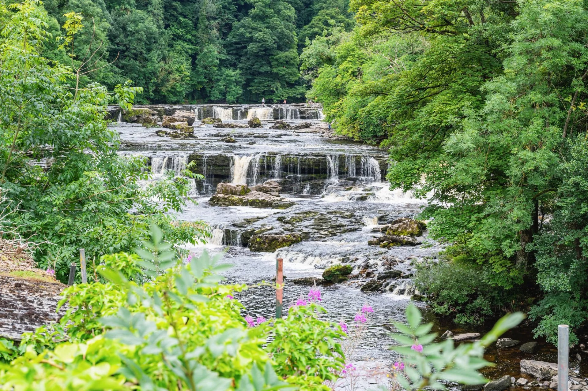 Aysgarth Falls stepping across the River Ure in Wensleydale, Yorkshire Dales
