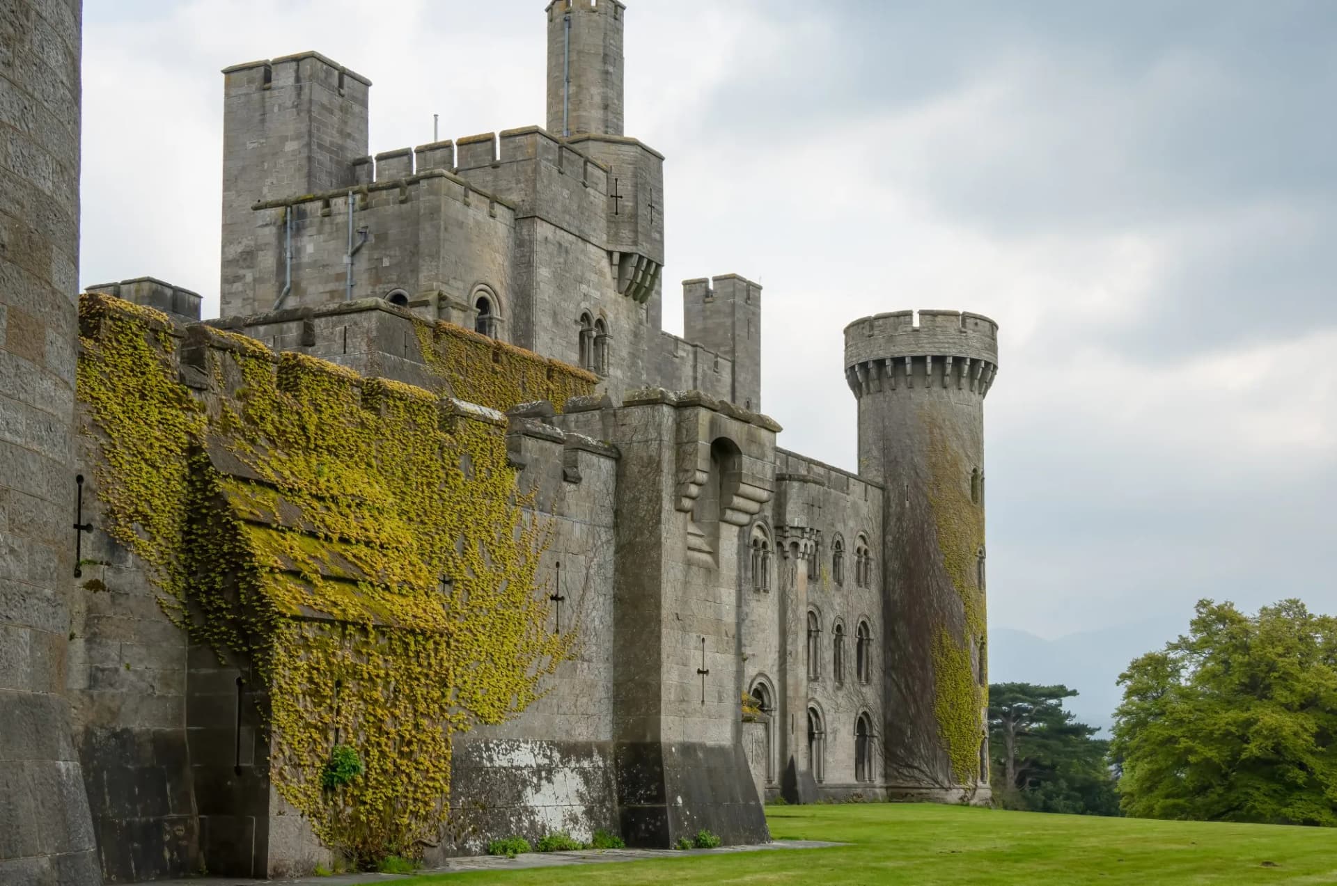 Golden virigina creeper on the walls of Penrhyn Castle, an extensive medieval country house in Llandygai, Bangor, North Wales, in the form of a Norman castle