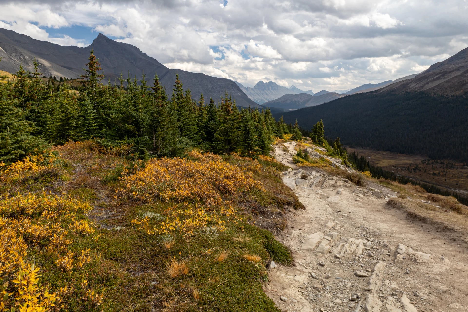 A gravel hiking trail climbing through golden autumn tundra, with a deep valley below and ranges receding into the distance.