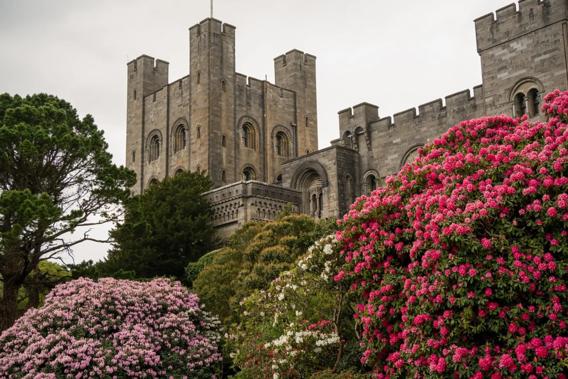 A view of Penrhyn Castle, an extensive medieval country house in Llandygai, Bangor, North Wales, in the form of a Norman castle.