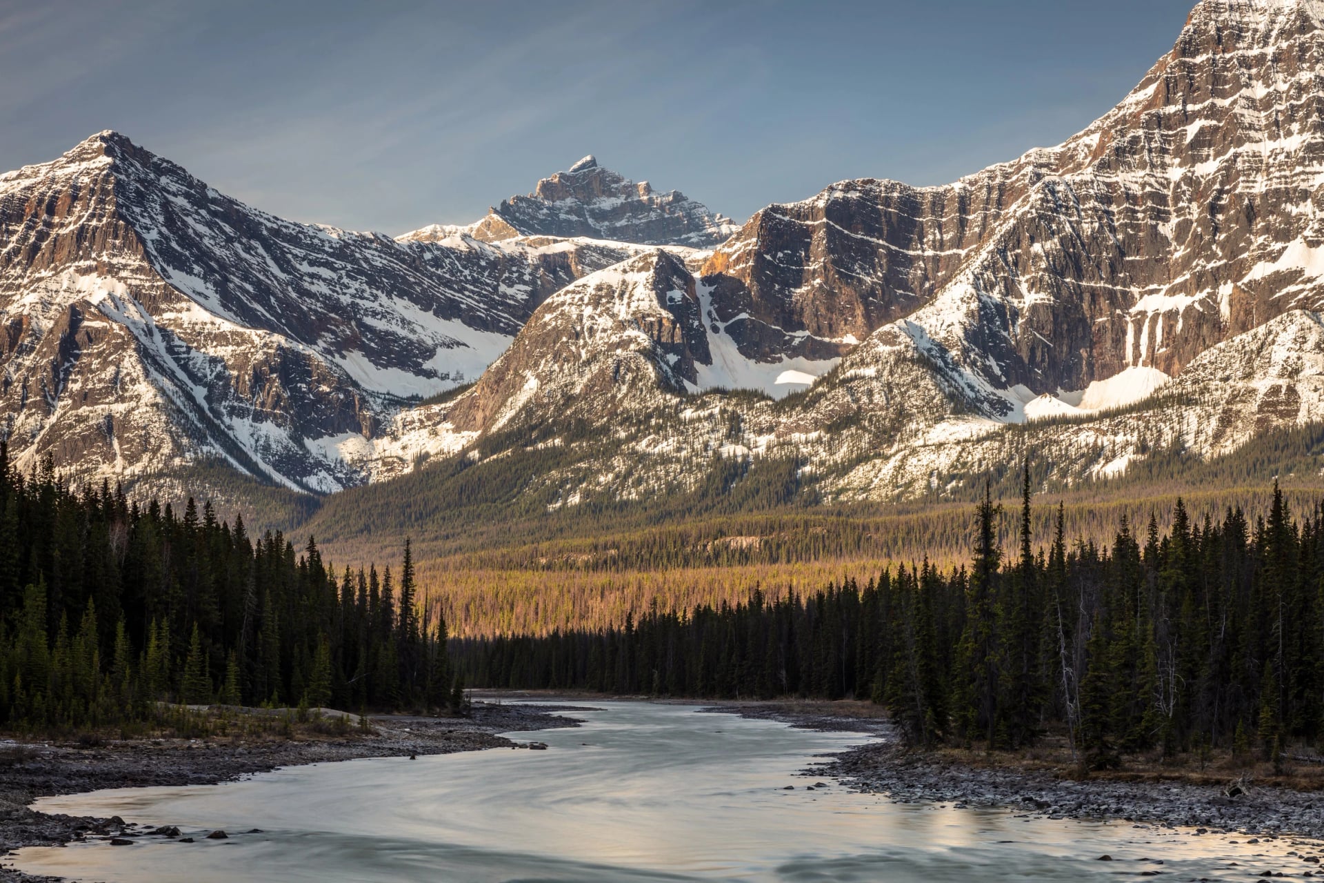 The braided channels of the Athabasca River crossing wide gravel flats below glaciated Rocky Mountain peaks.