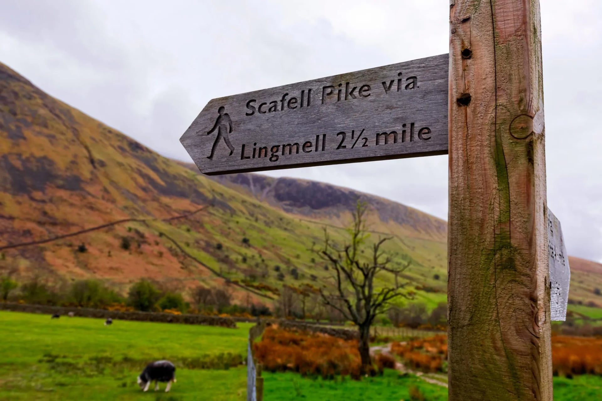 A wooden fingerpost reading Scafell Pike via Lingmell two and a half miles below a Lakeland fell
