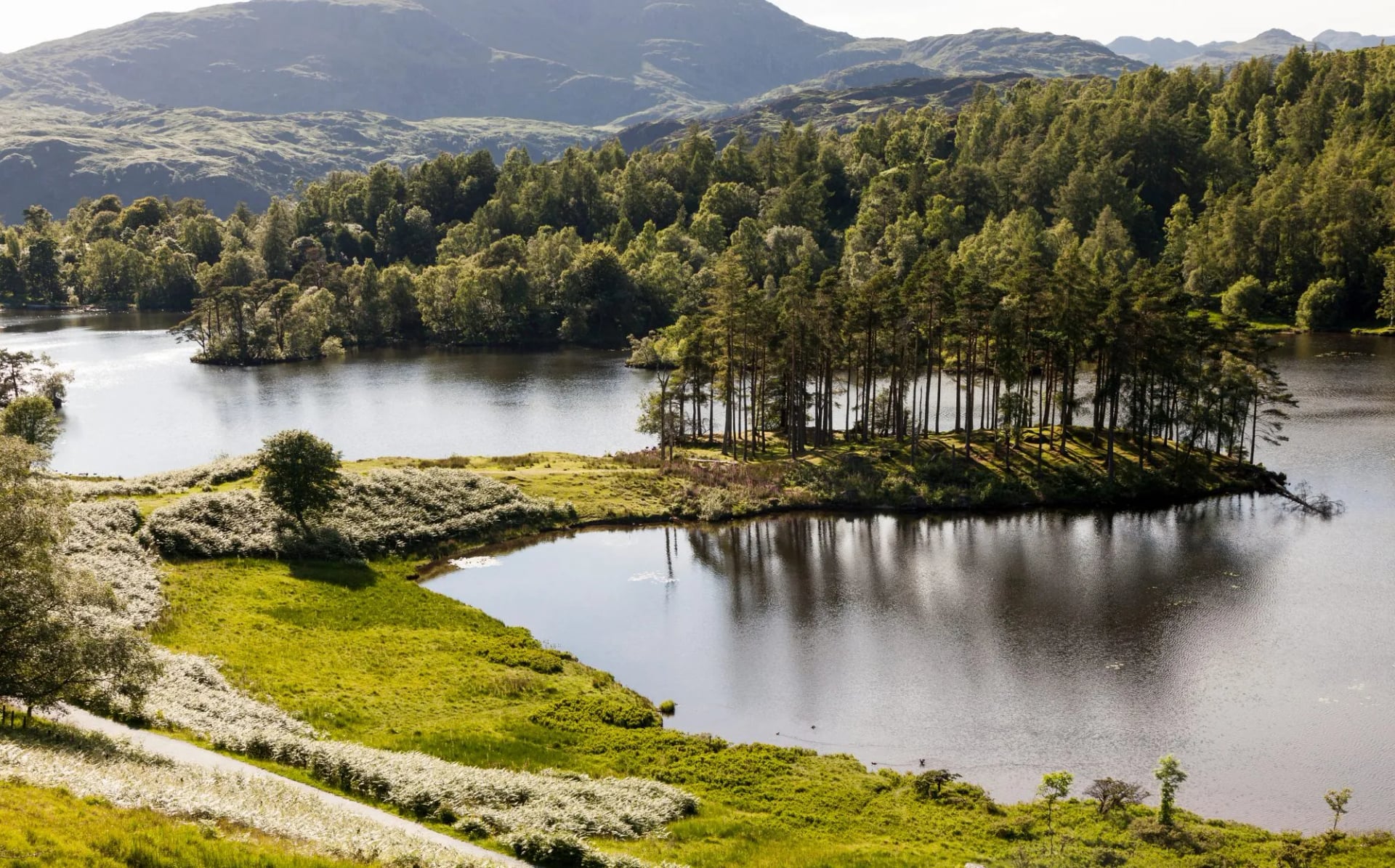 The tree covered island in Tarn Hows with low wooded fells behind