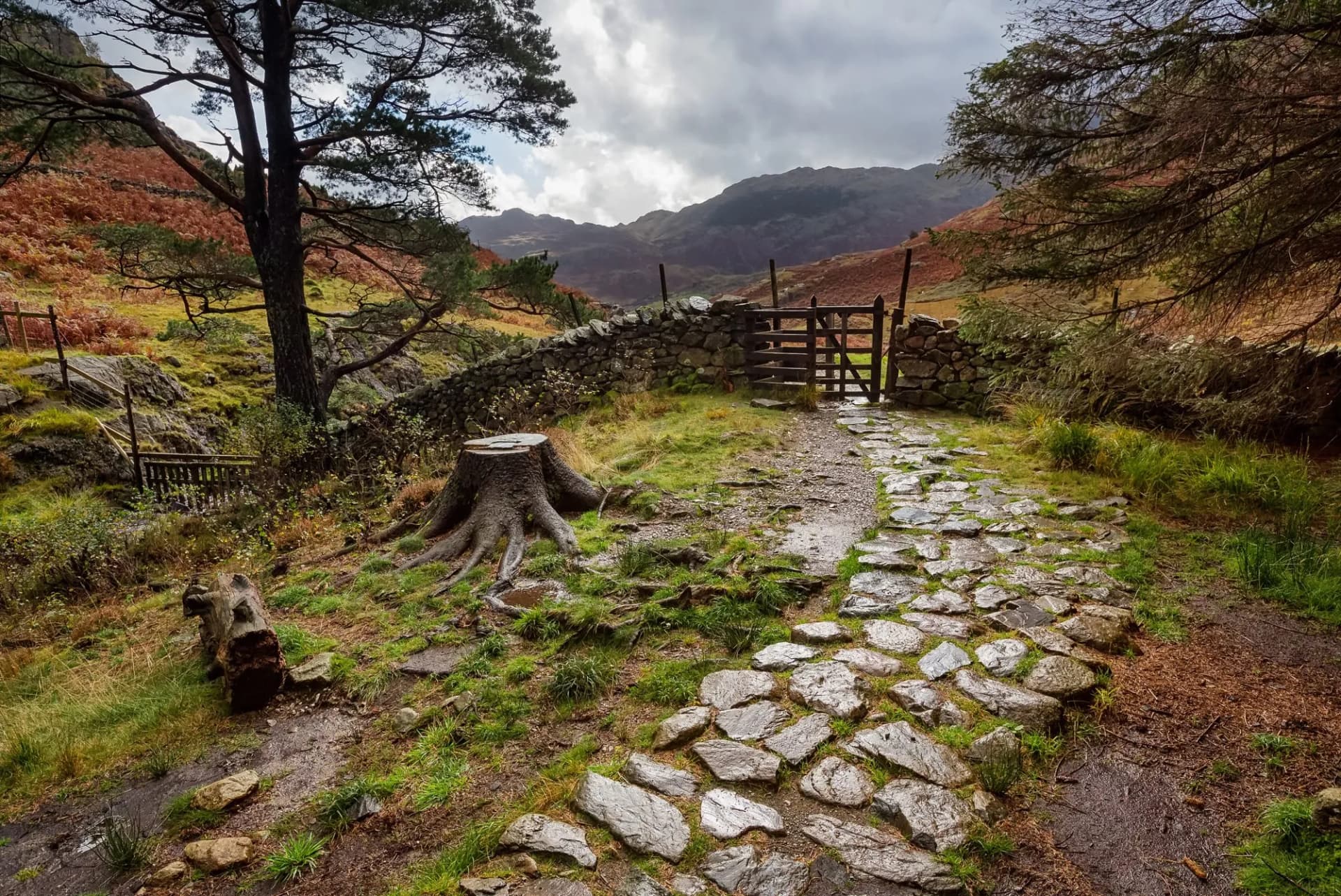 A cobbled, stone walkway in a wooded area of the Lake District near Elterwater, England.