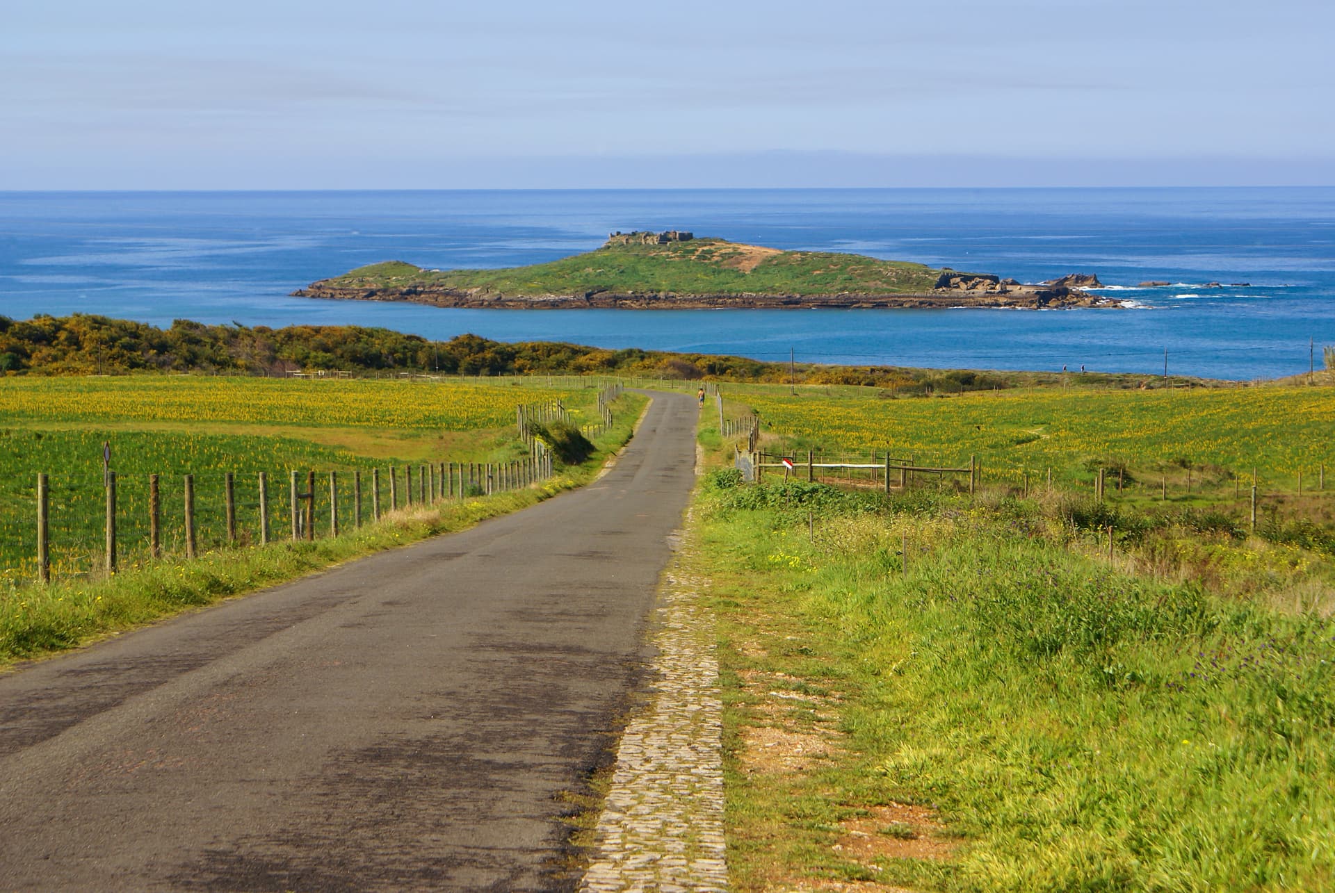 Road leading to the sea past yellow fields toward Pessegueiro Island ruins.